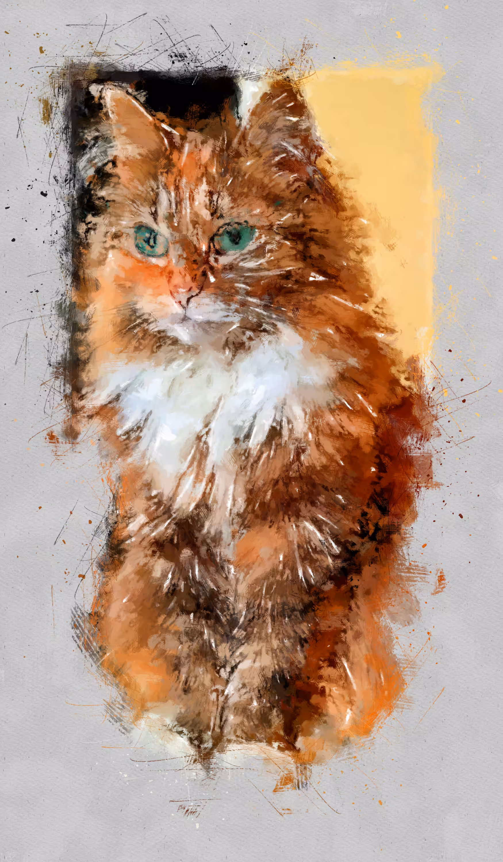 cute cat