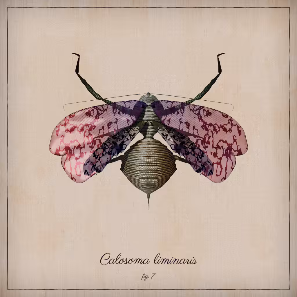 ProcGen Entomology #34