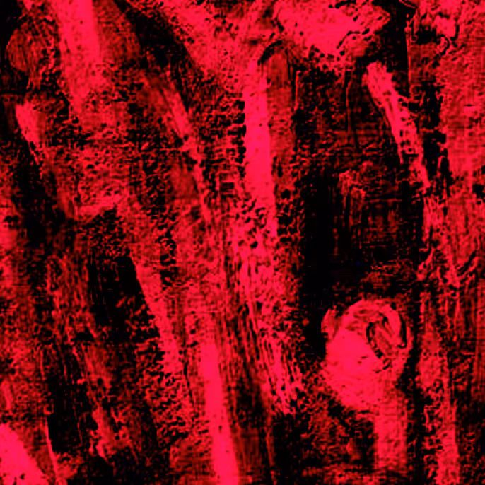 syn.r001