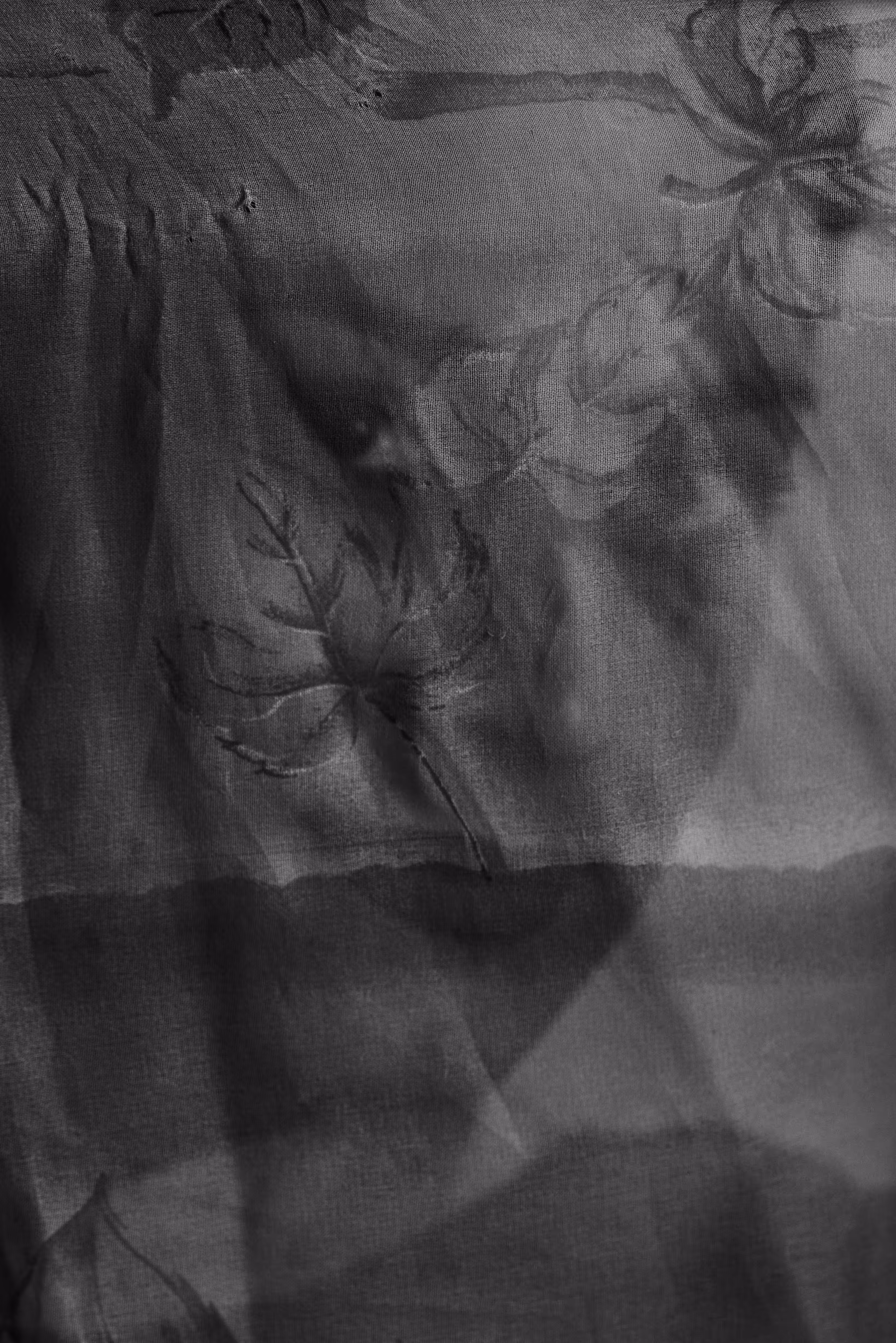 Hidden Presence