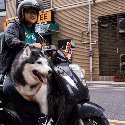 Big Dog, Small Scooter