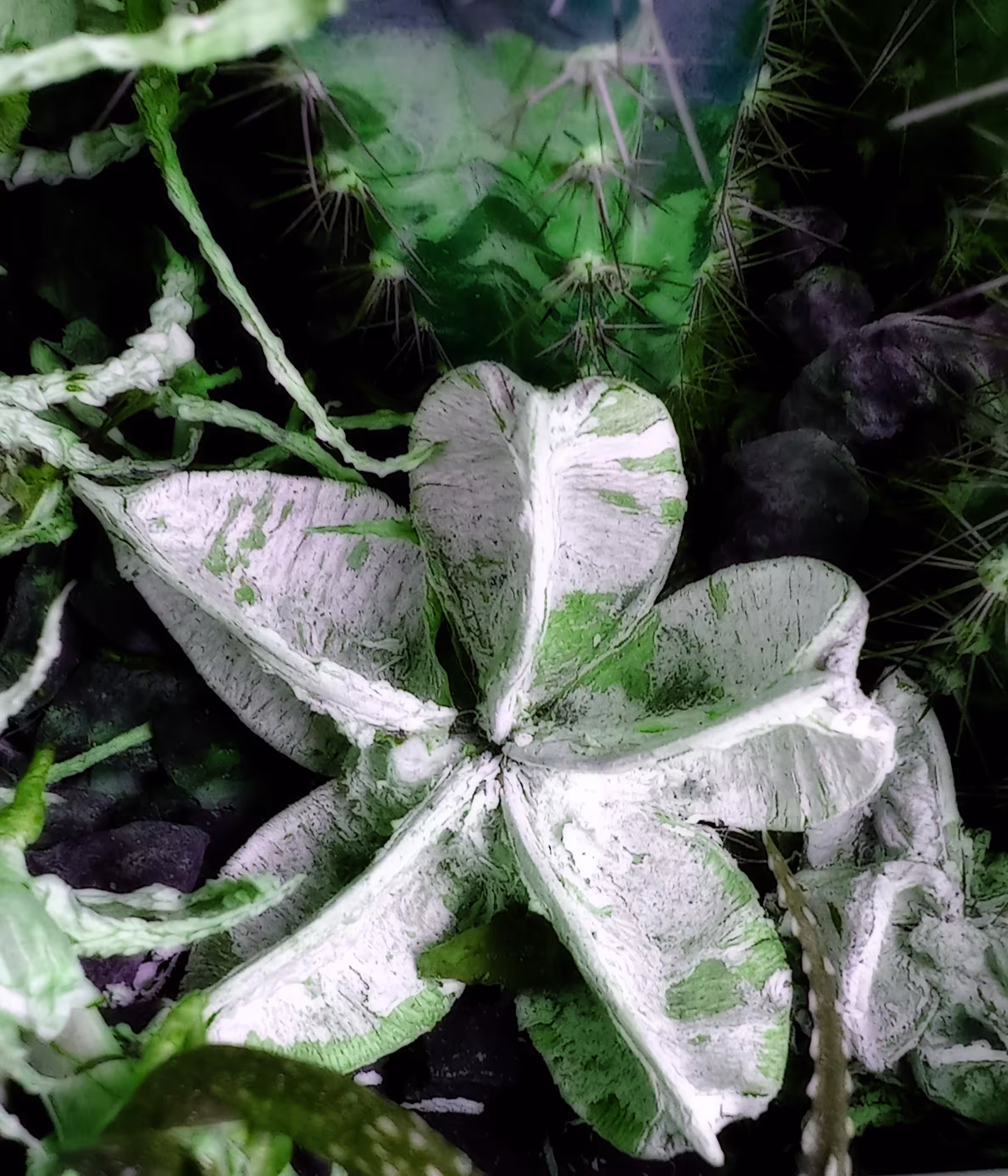 Retouched in green