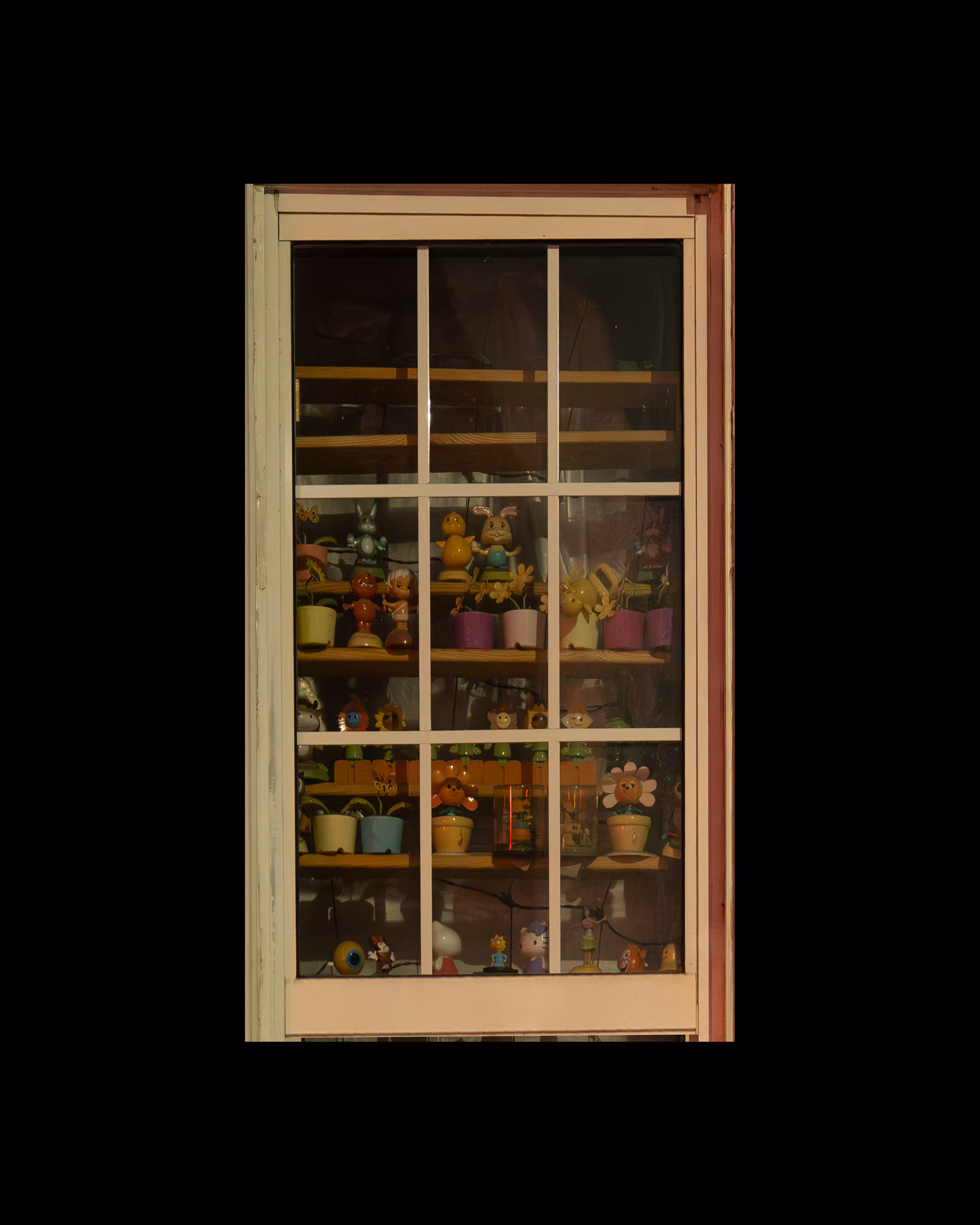 WINDOW 628
