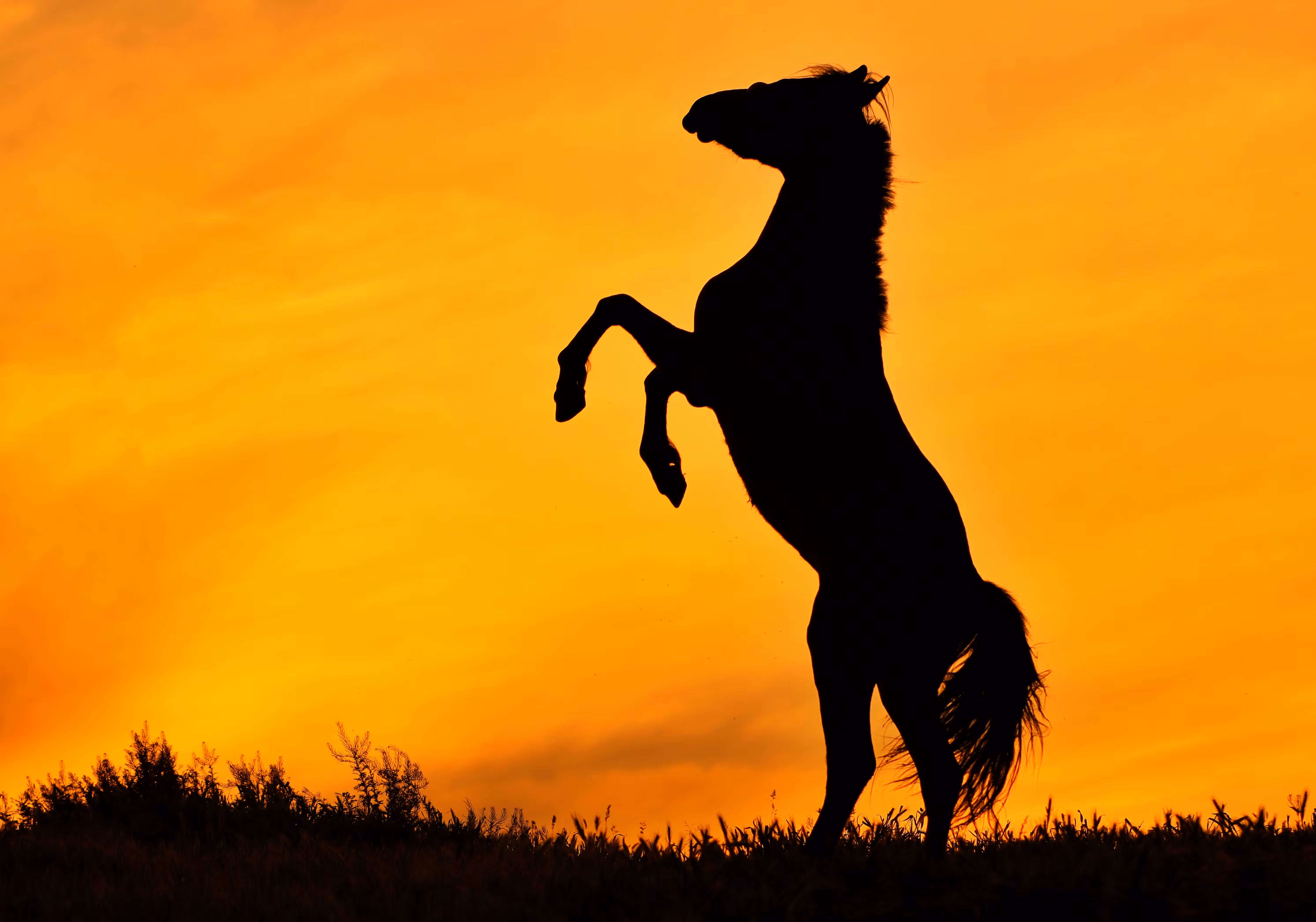 Dance at sunset