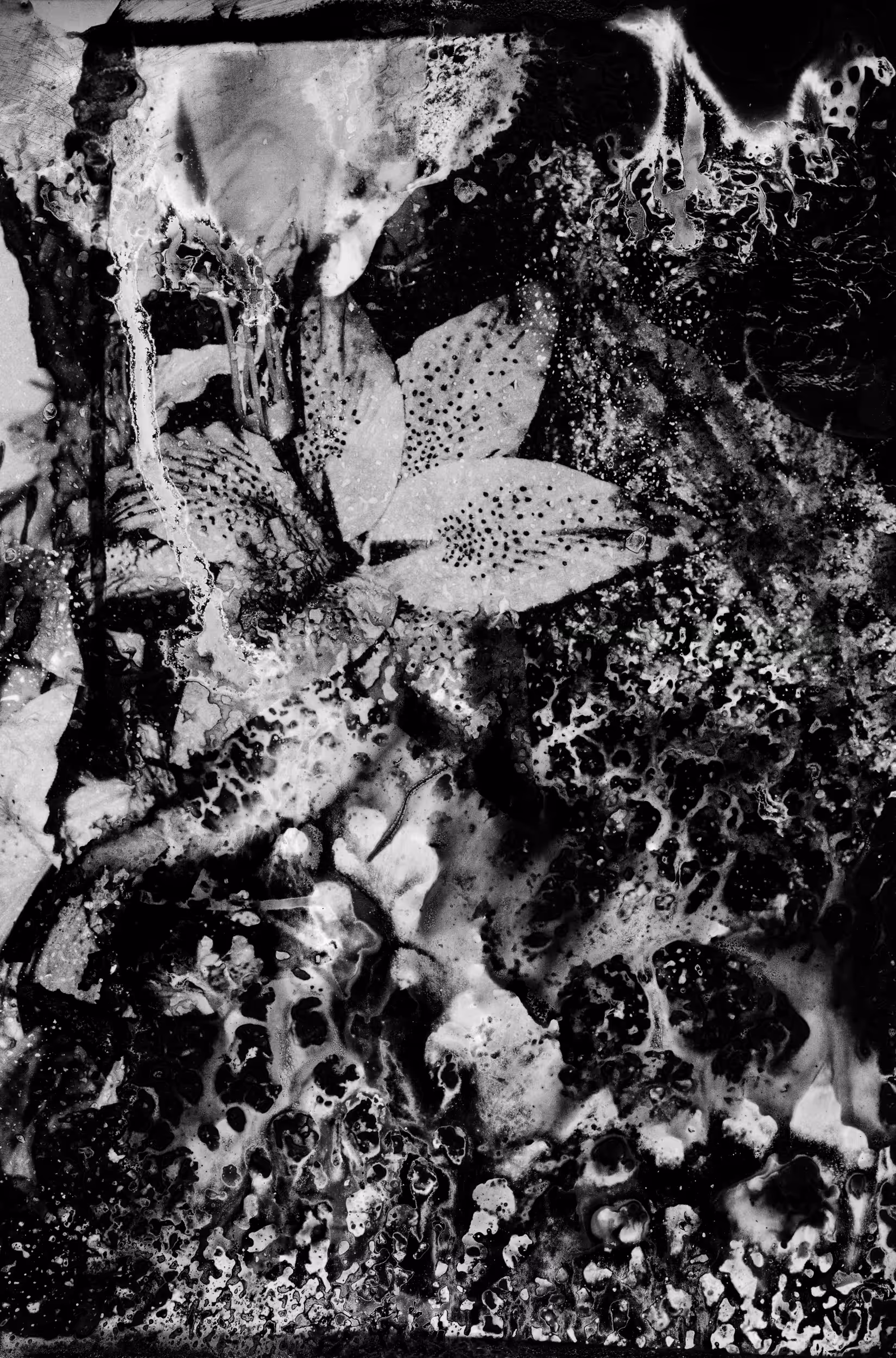 The Stain | Picture 5