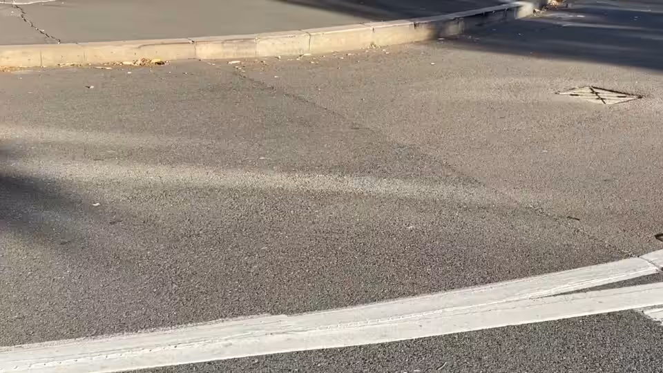 SKRRT (Collab with Comfyshrooms)