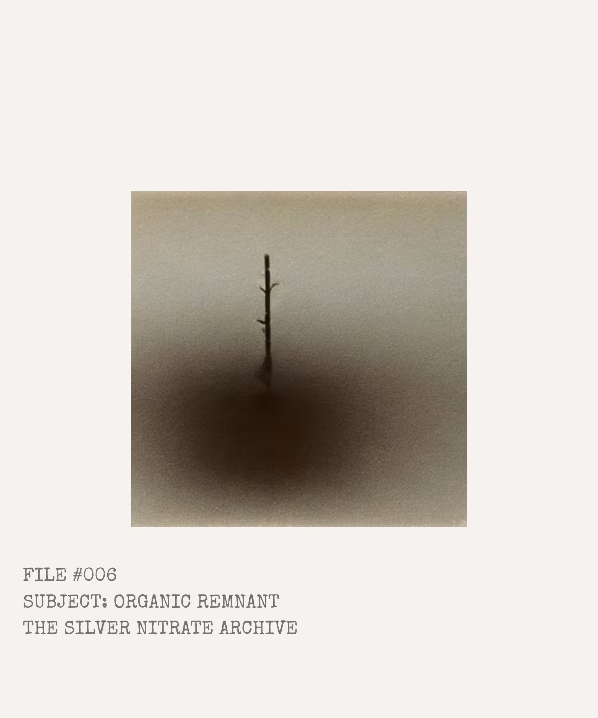 "FILE #006 SUBJECT: ORGANIC REMNANT"