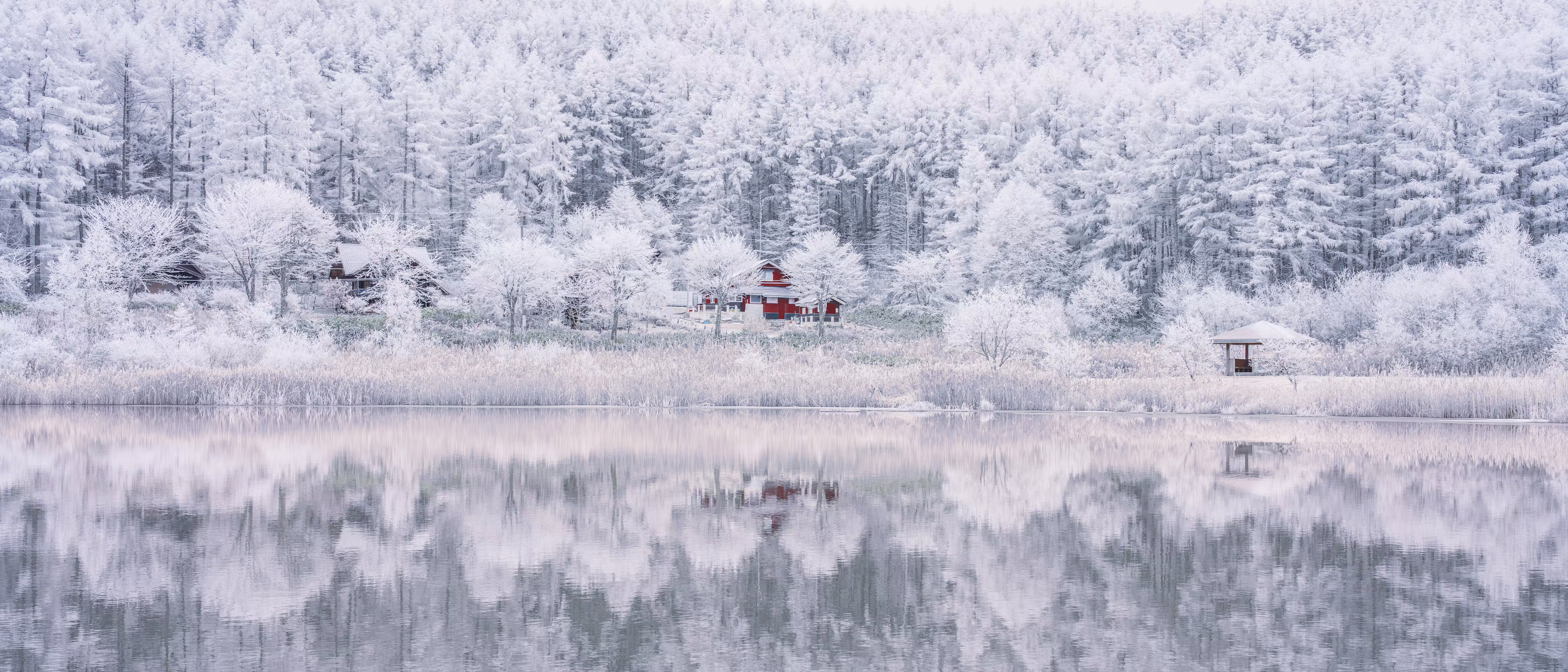 The Beginning of Winter