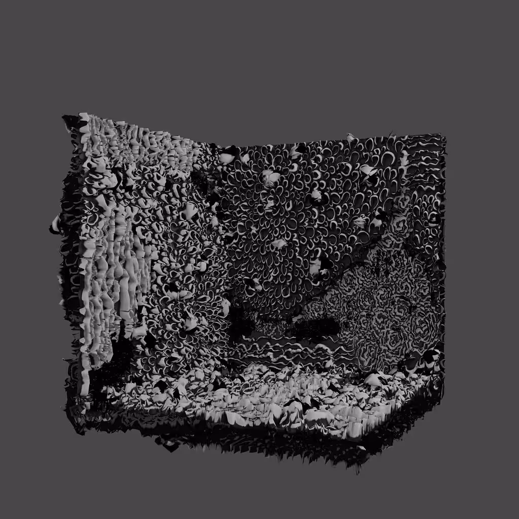 Woven Sketch XV
