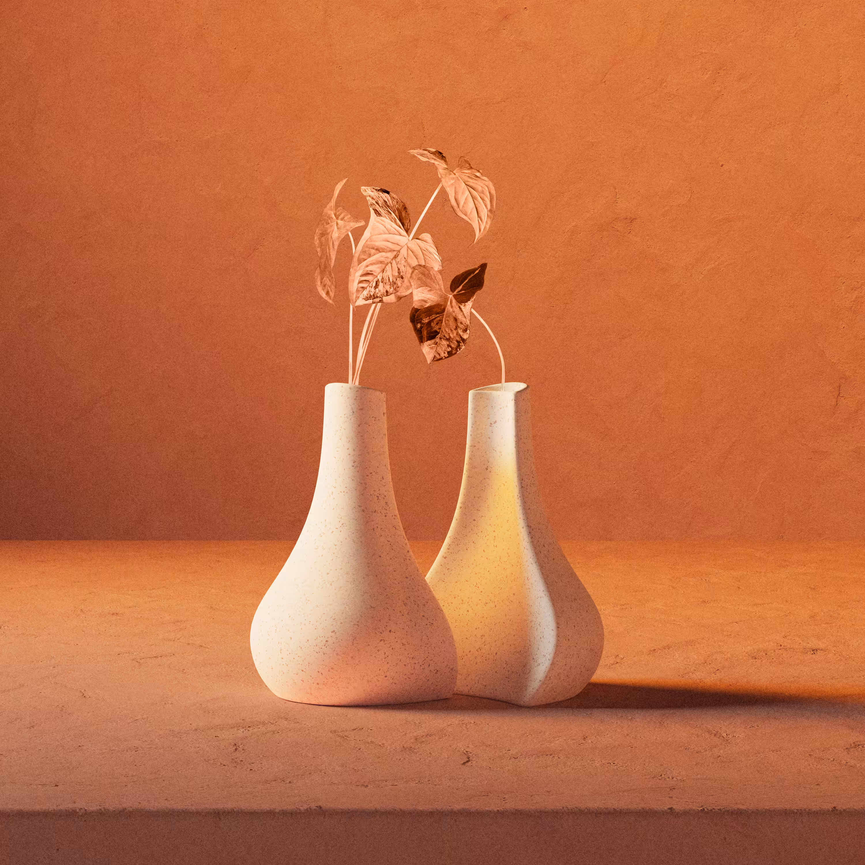 Siamese vases