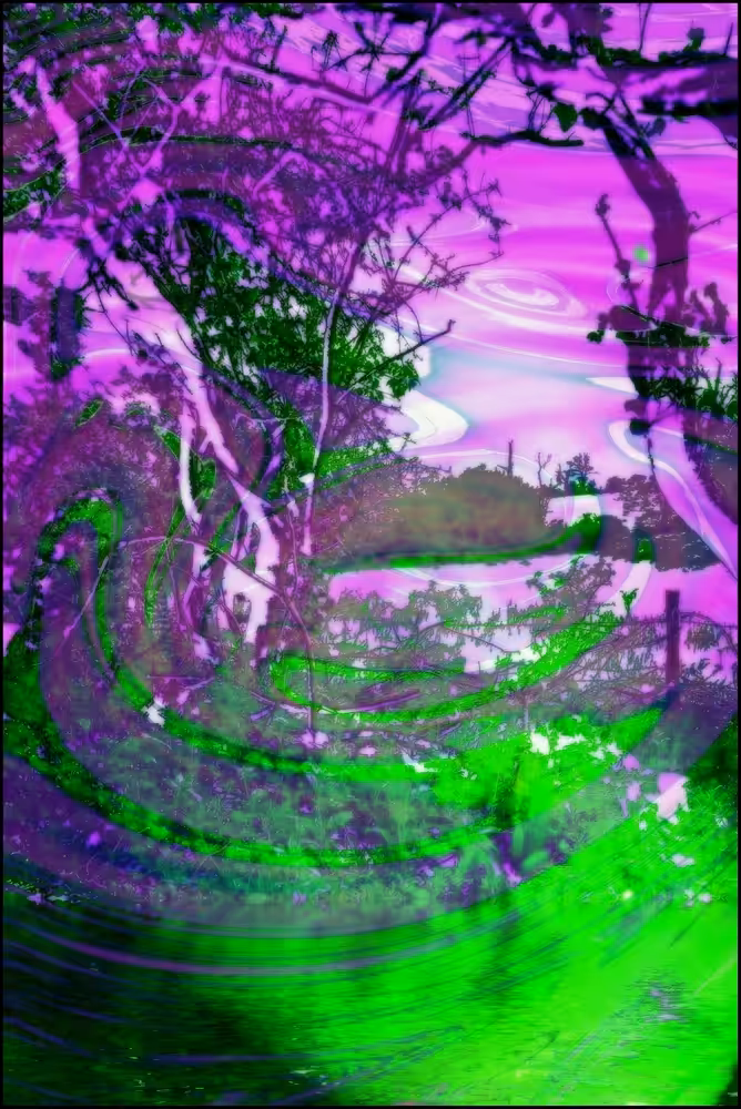 Days of Bluebells
