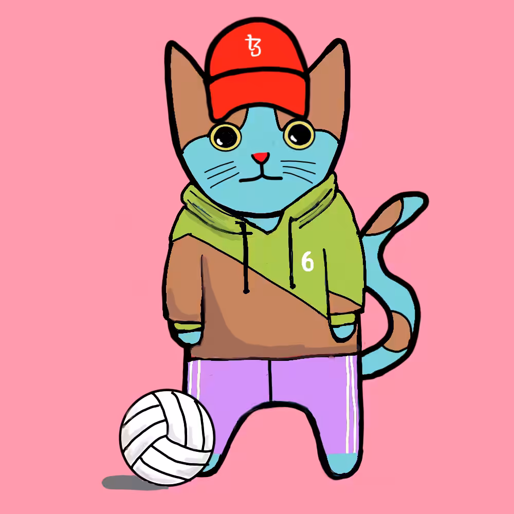 Sports cat #1