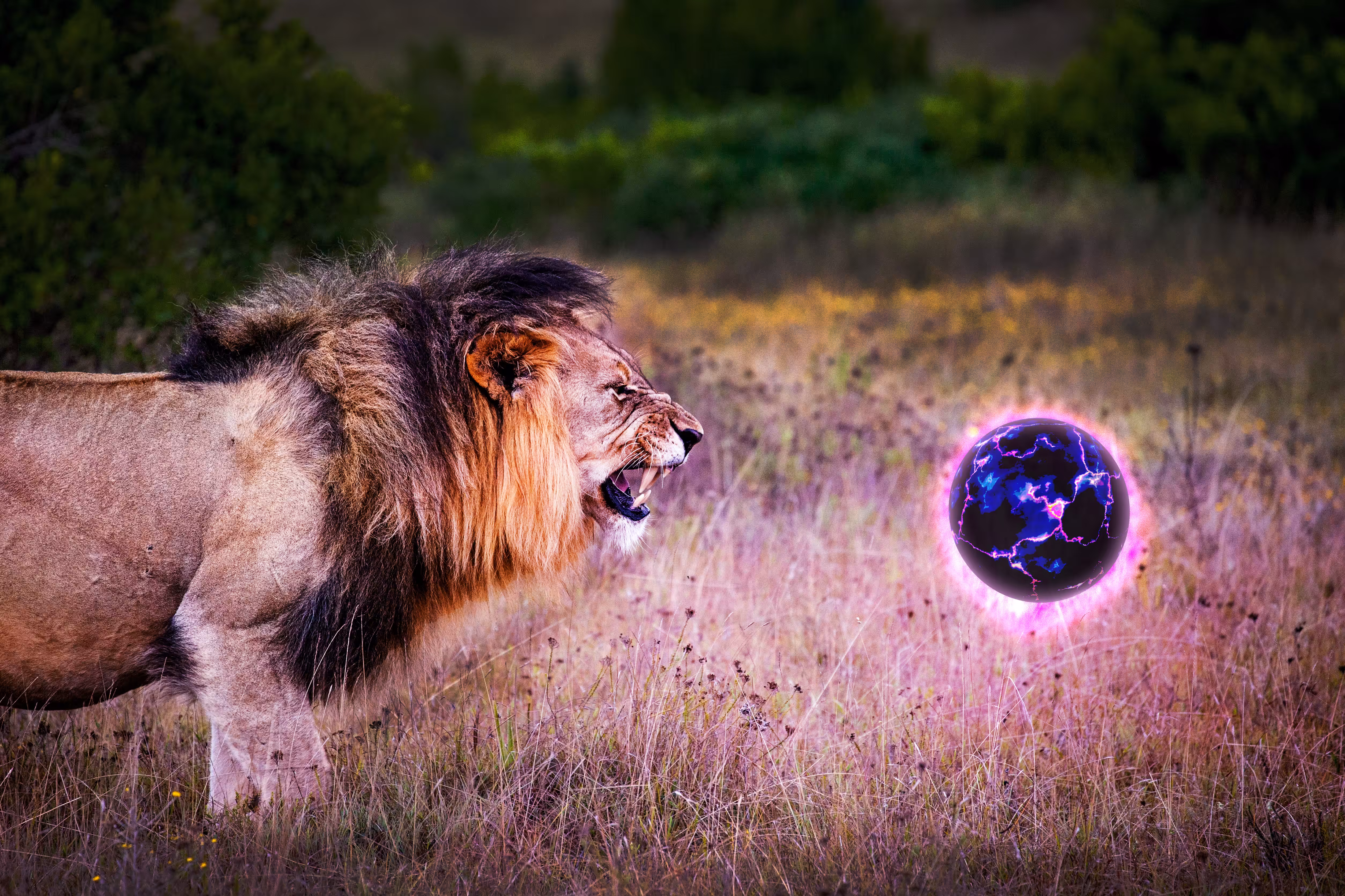 Plasma Lion