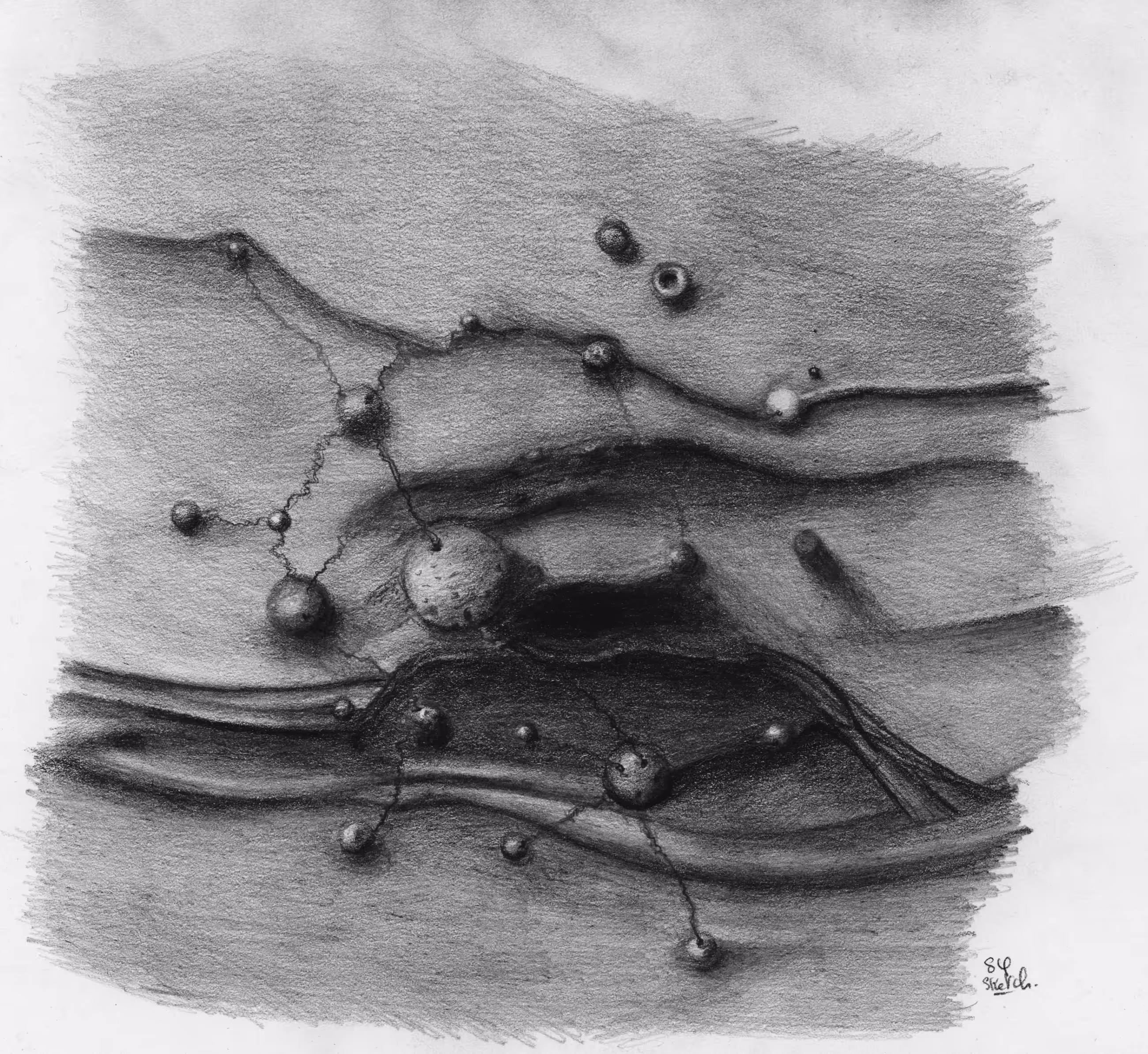 Sketch #2