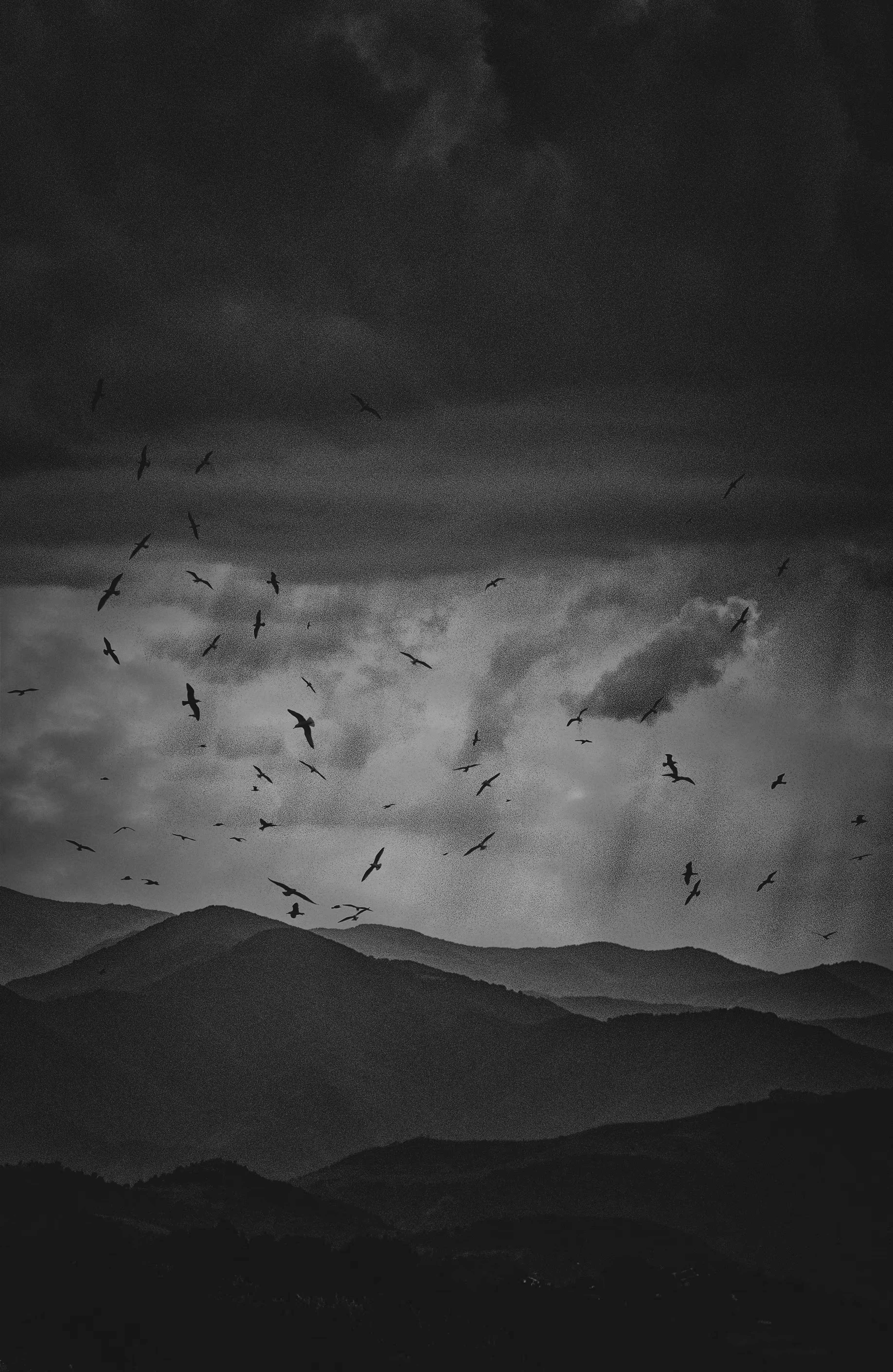 Children of the Sky