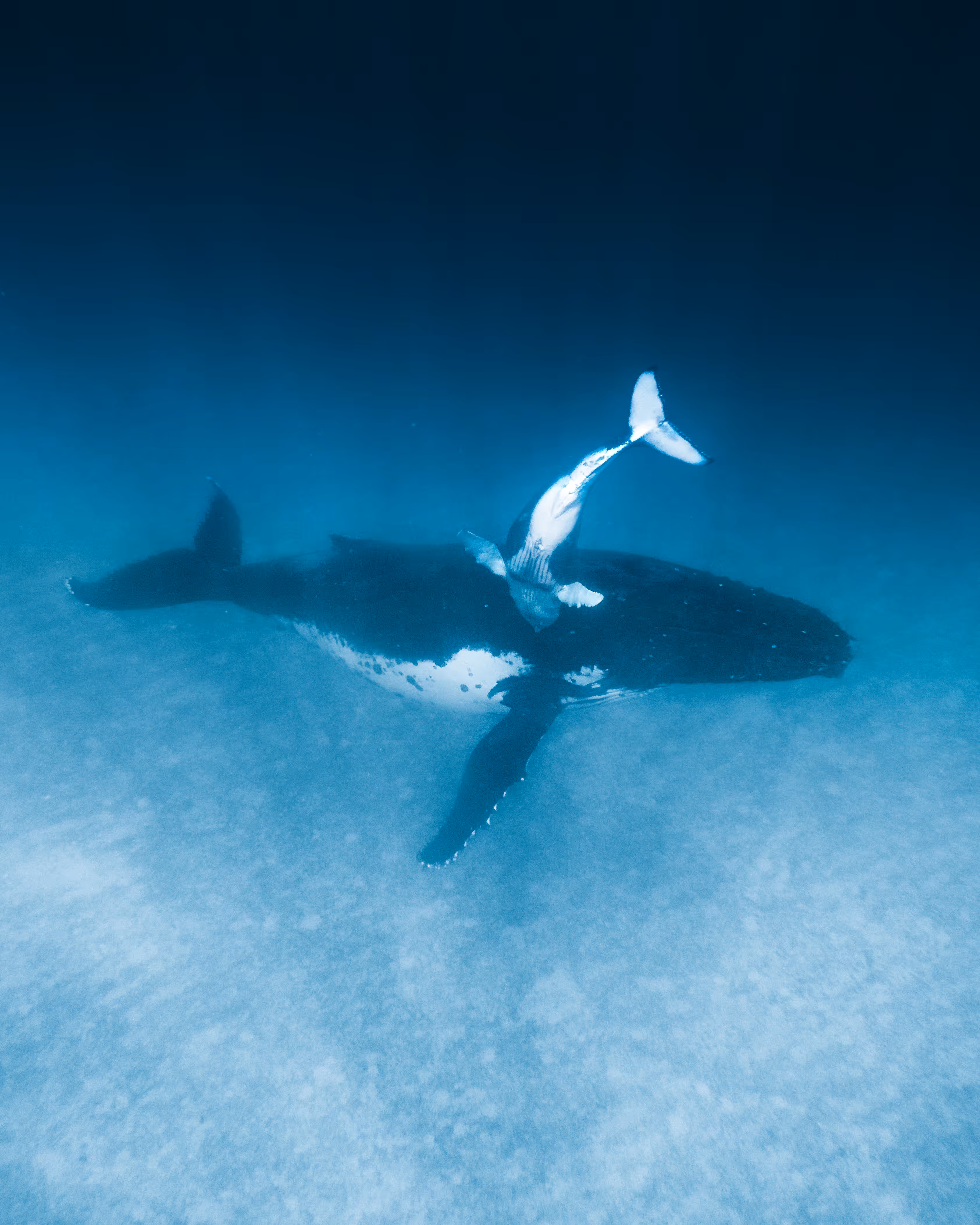 "Into The Blue" #3