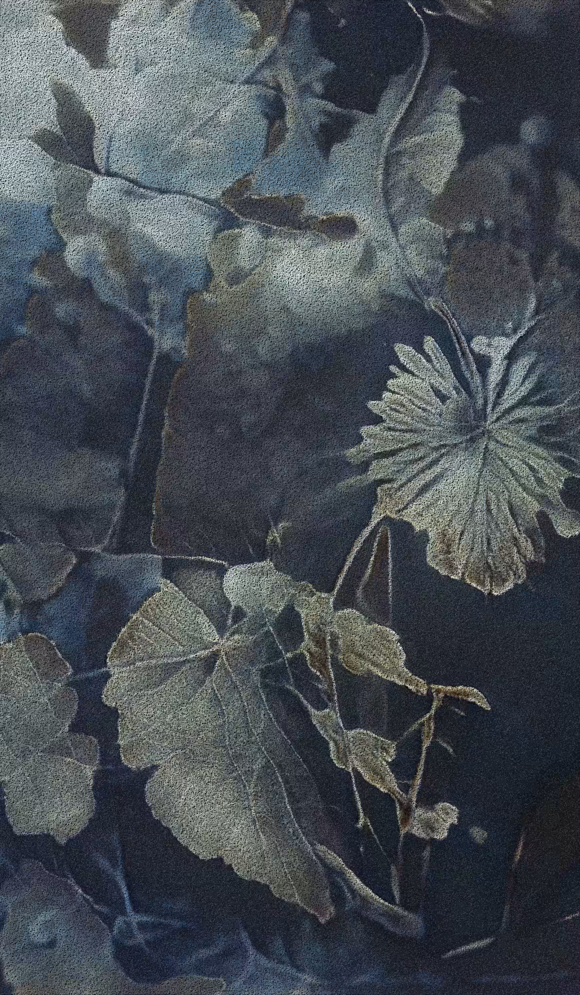 APPARATUS-VITIS: Apparatus Vitis #3
