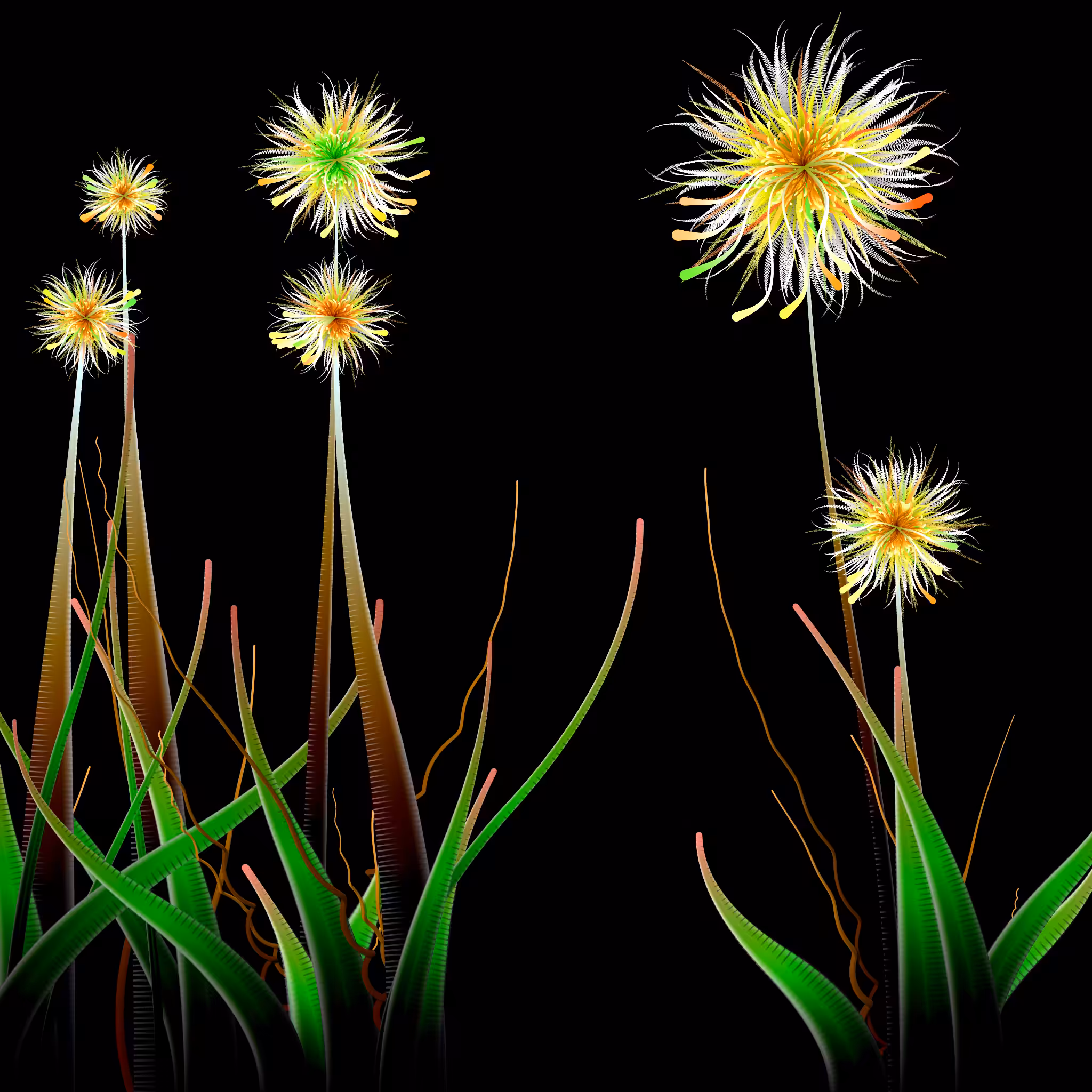 Milena’s Flowers #16