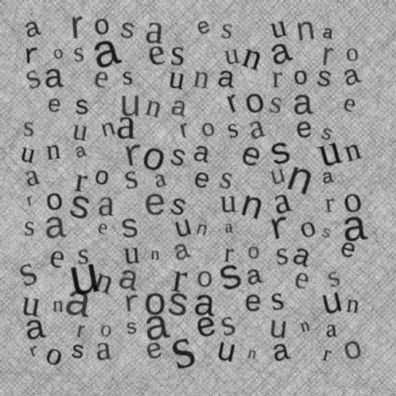una rosa es #31