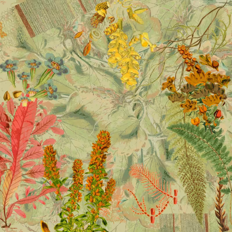 future flora from Antarctica's past #3