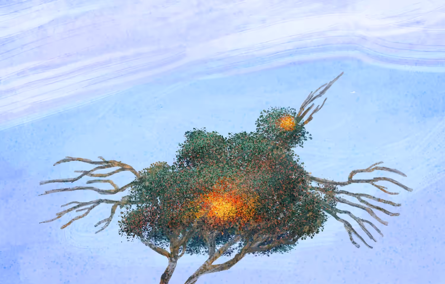 Mother Tree V