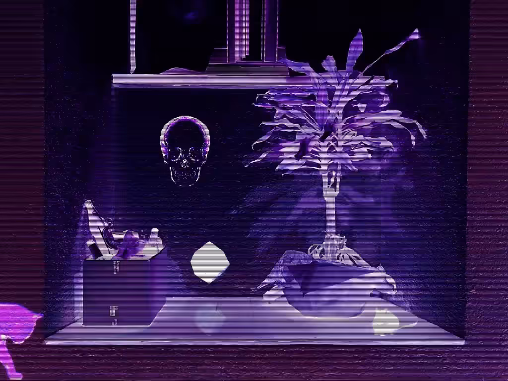 Valentine's Corner