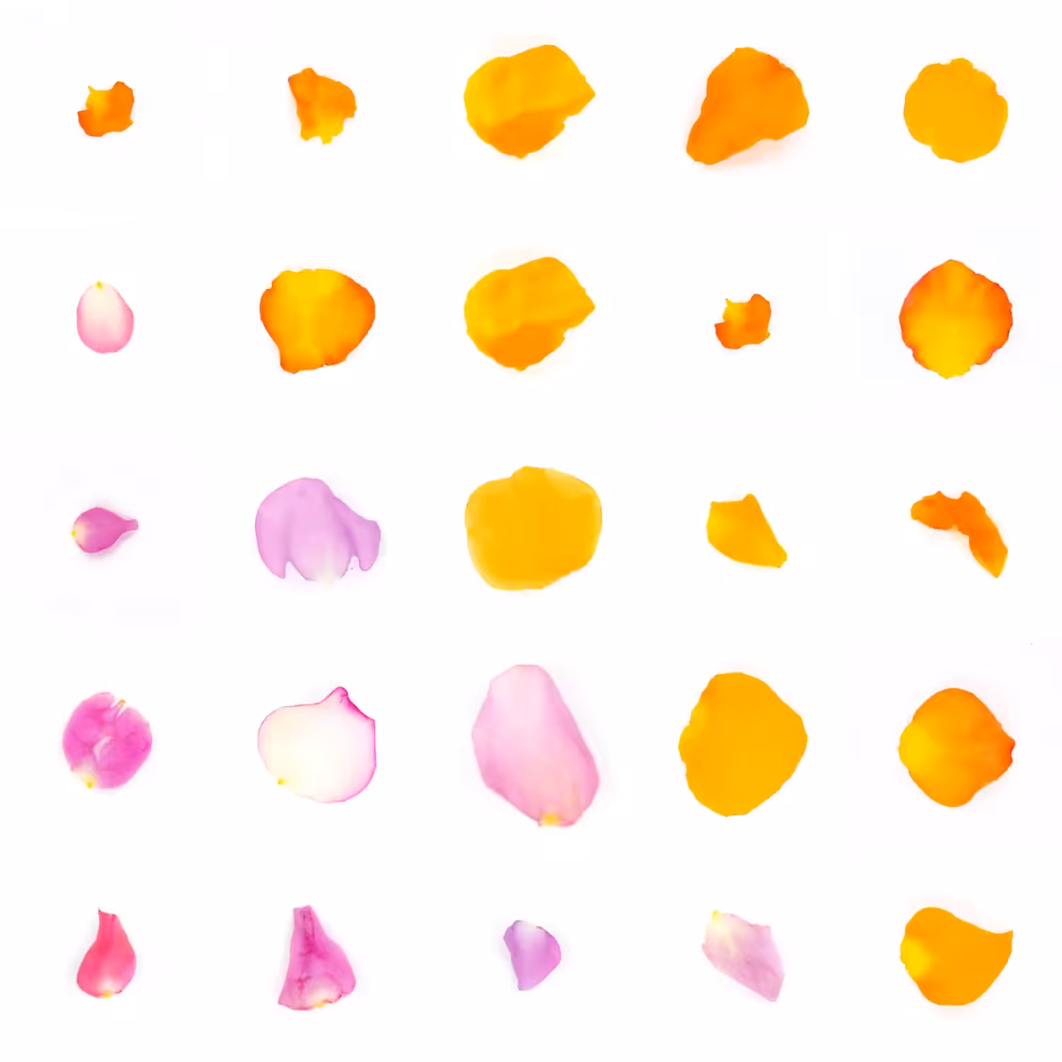 Infinite Petals 5x5#20016
