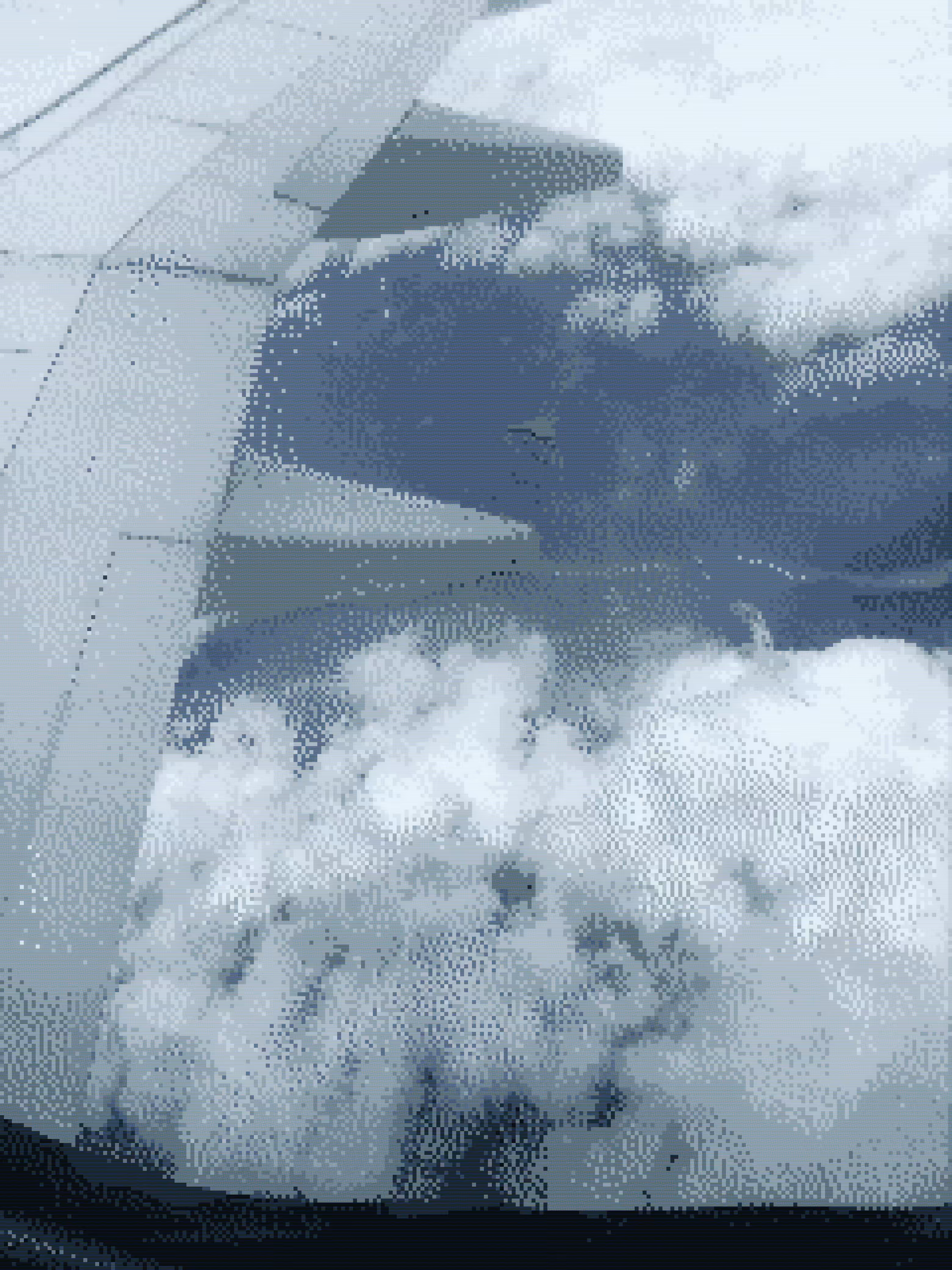 nube
