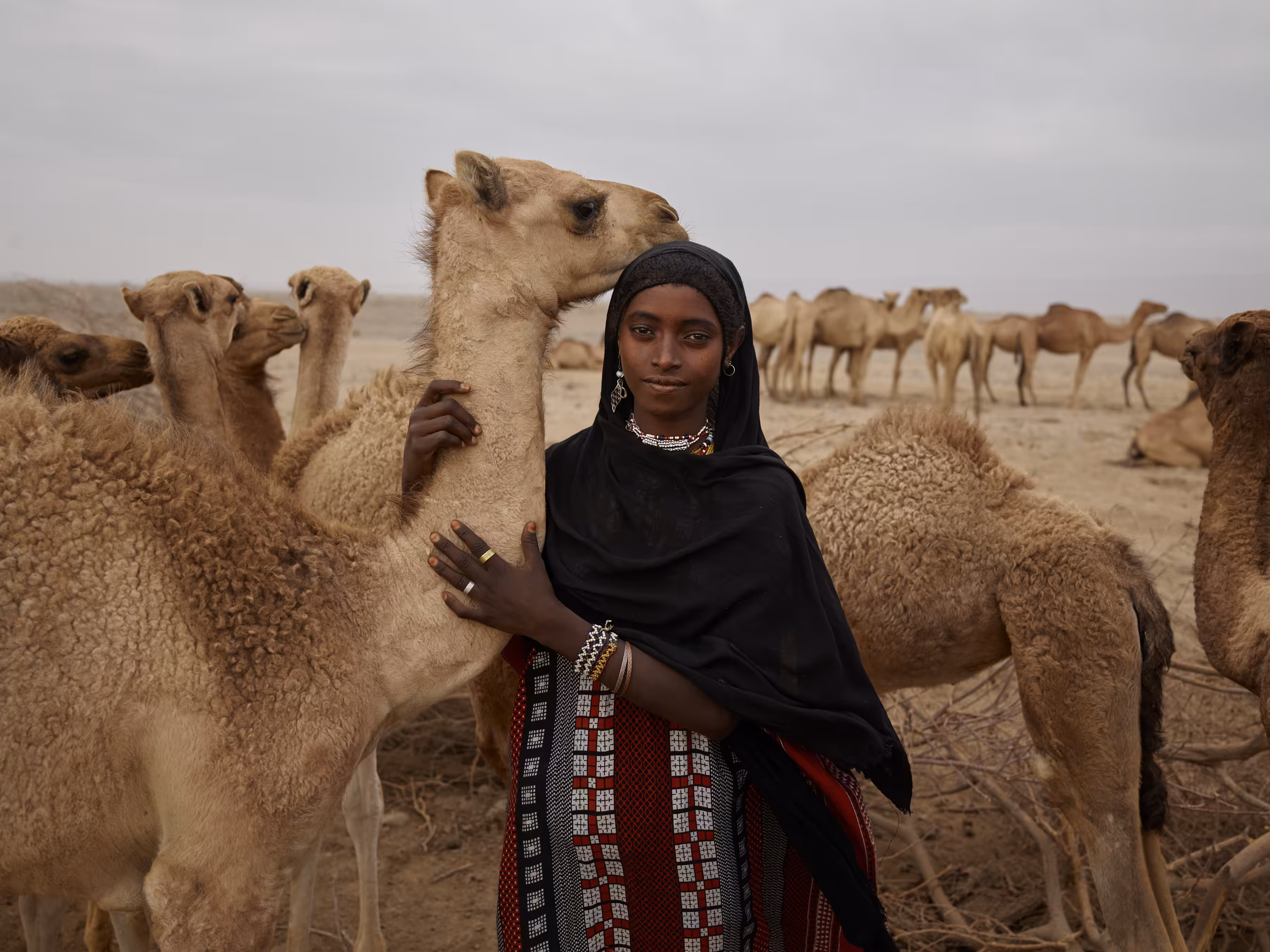 Ethiopia - Baily with Infant Camels