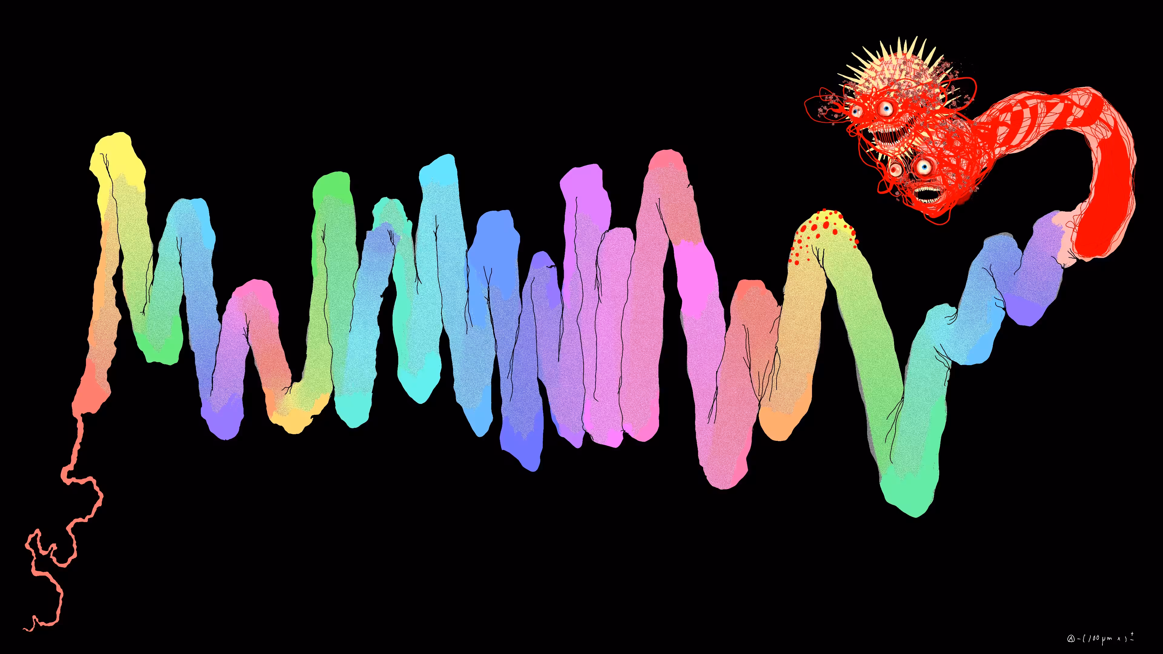 Chromie Tapeworm Micrograph <a>