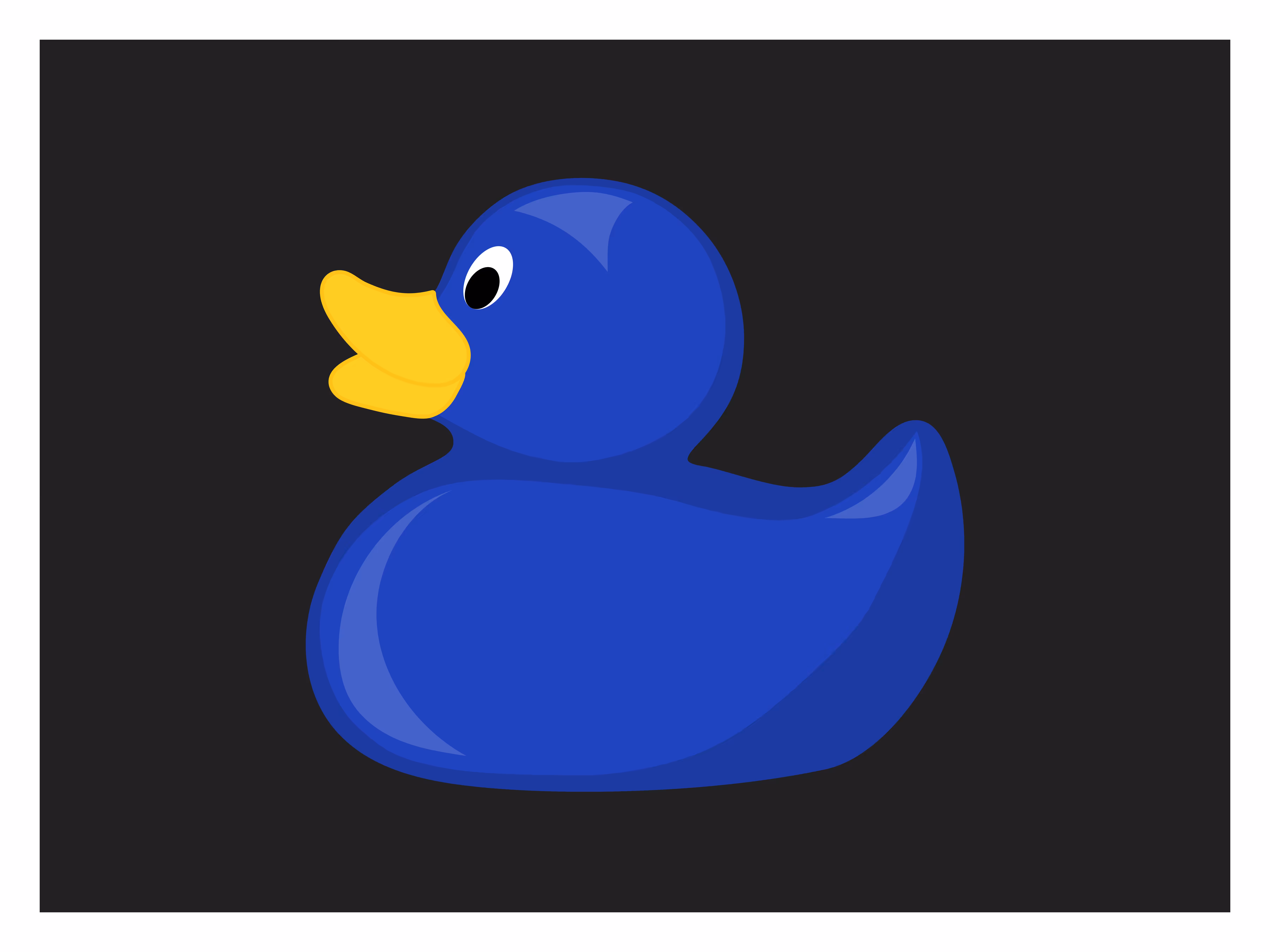 Rubber Duckies