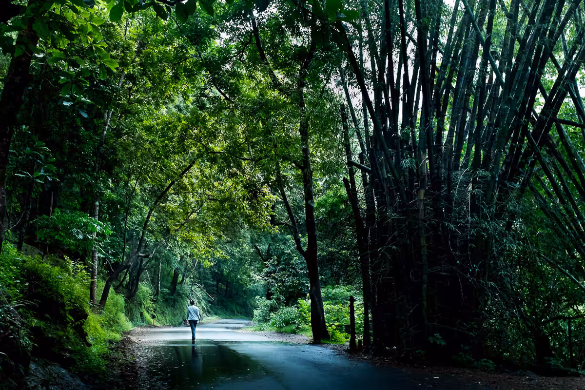 A Walk to Remember