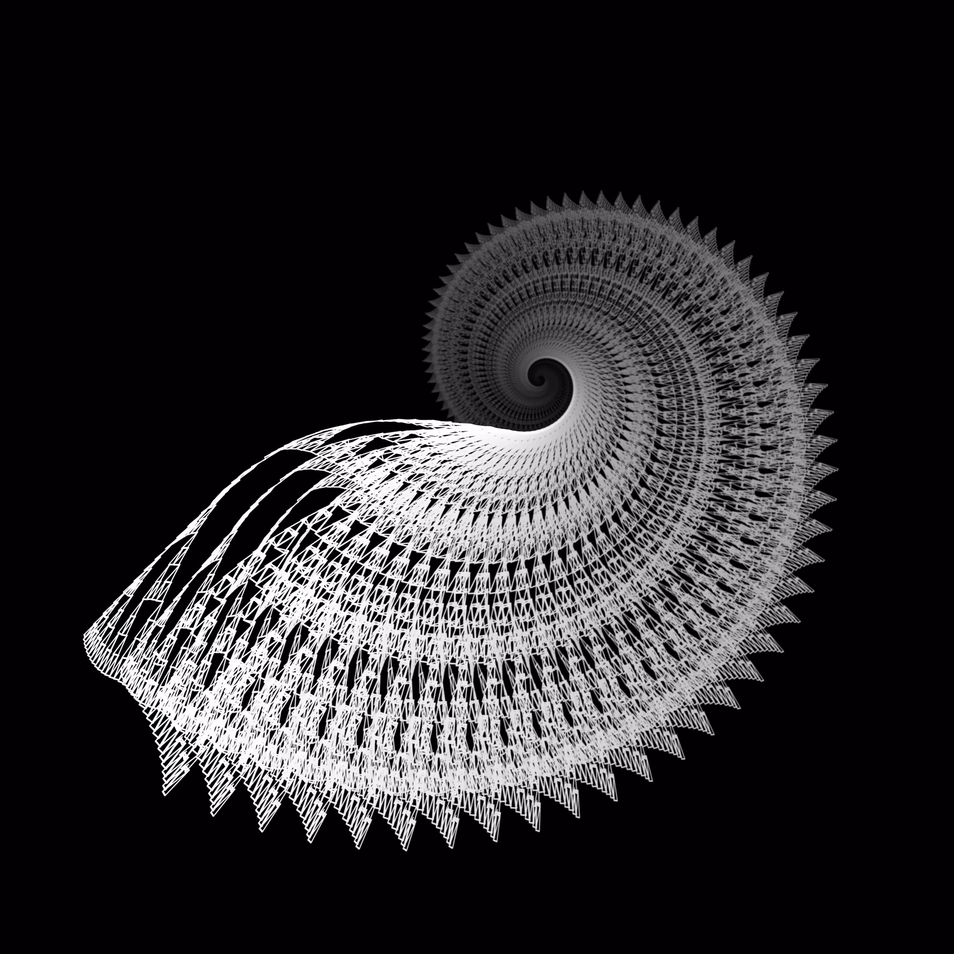 Nautilus
