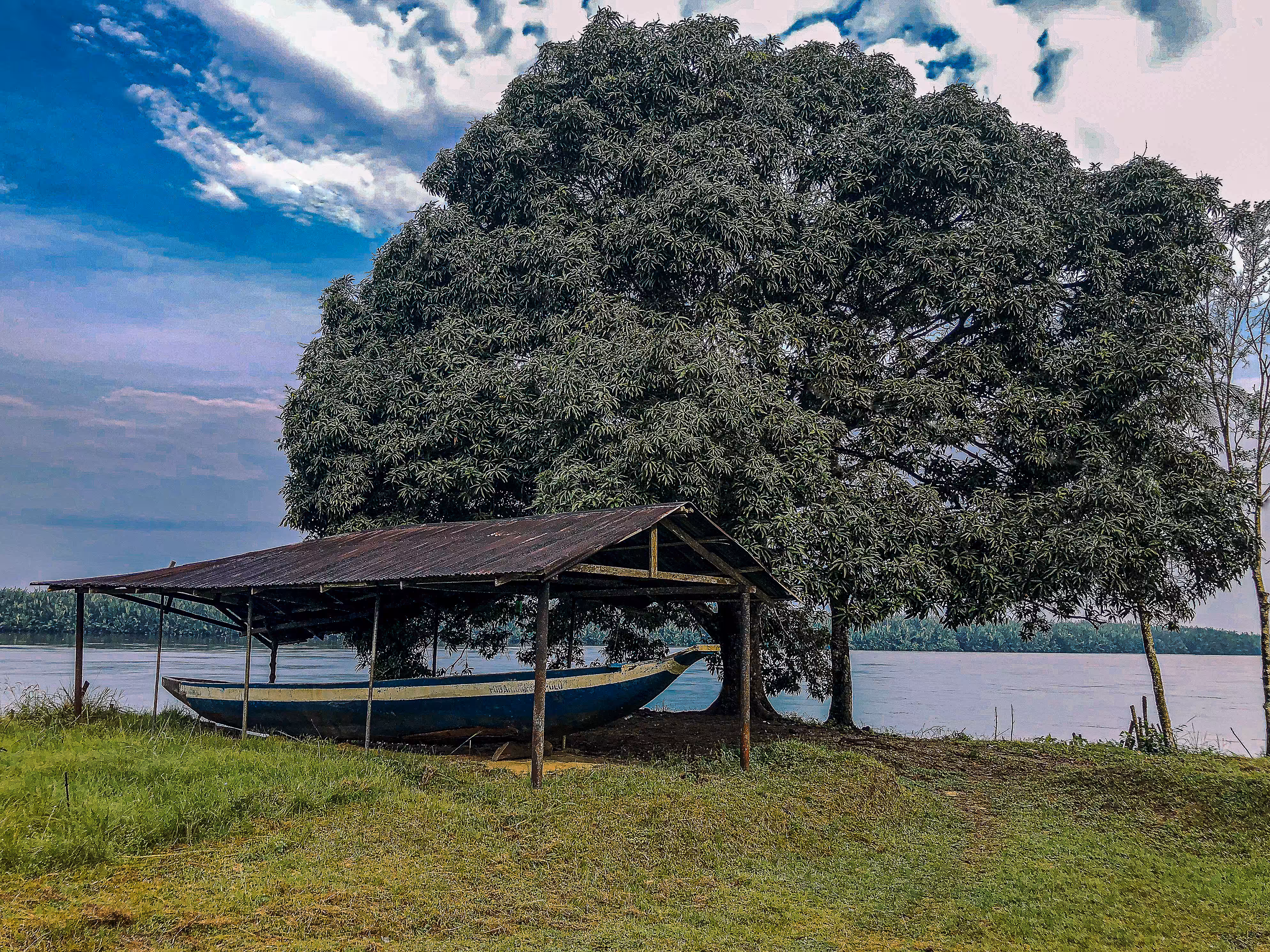 Aruwari (BoatShed)