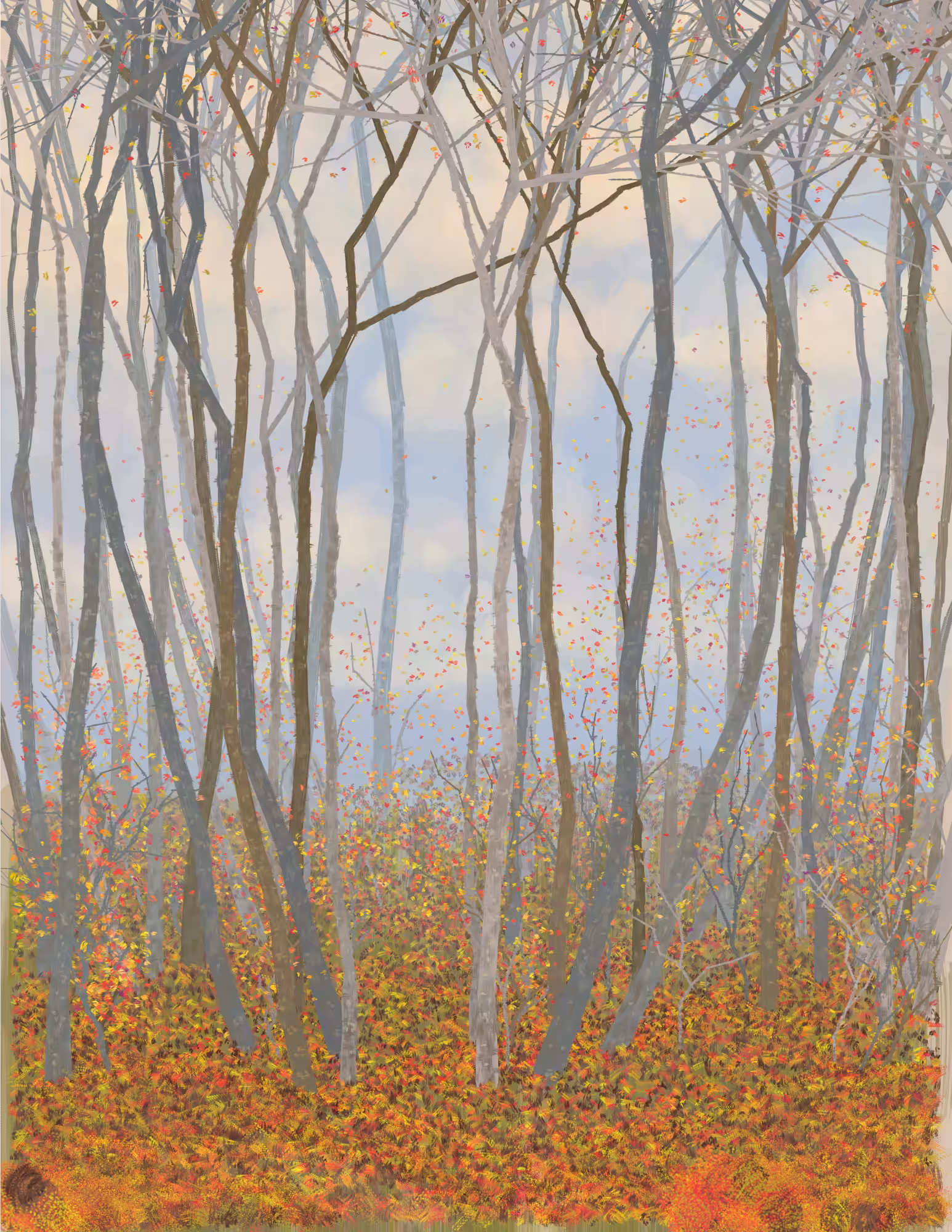 Deep Forest #128