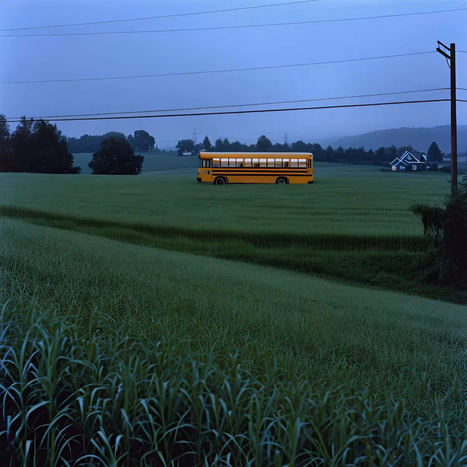 Nathan Boey - A Yellow School Bus is.