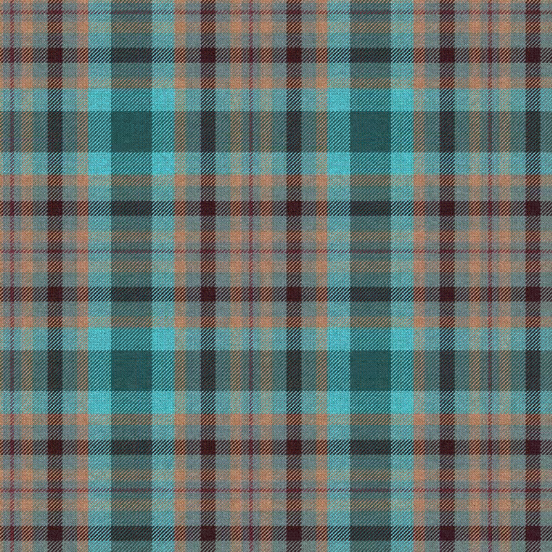 Tartan Cloth #5