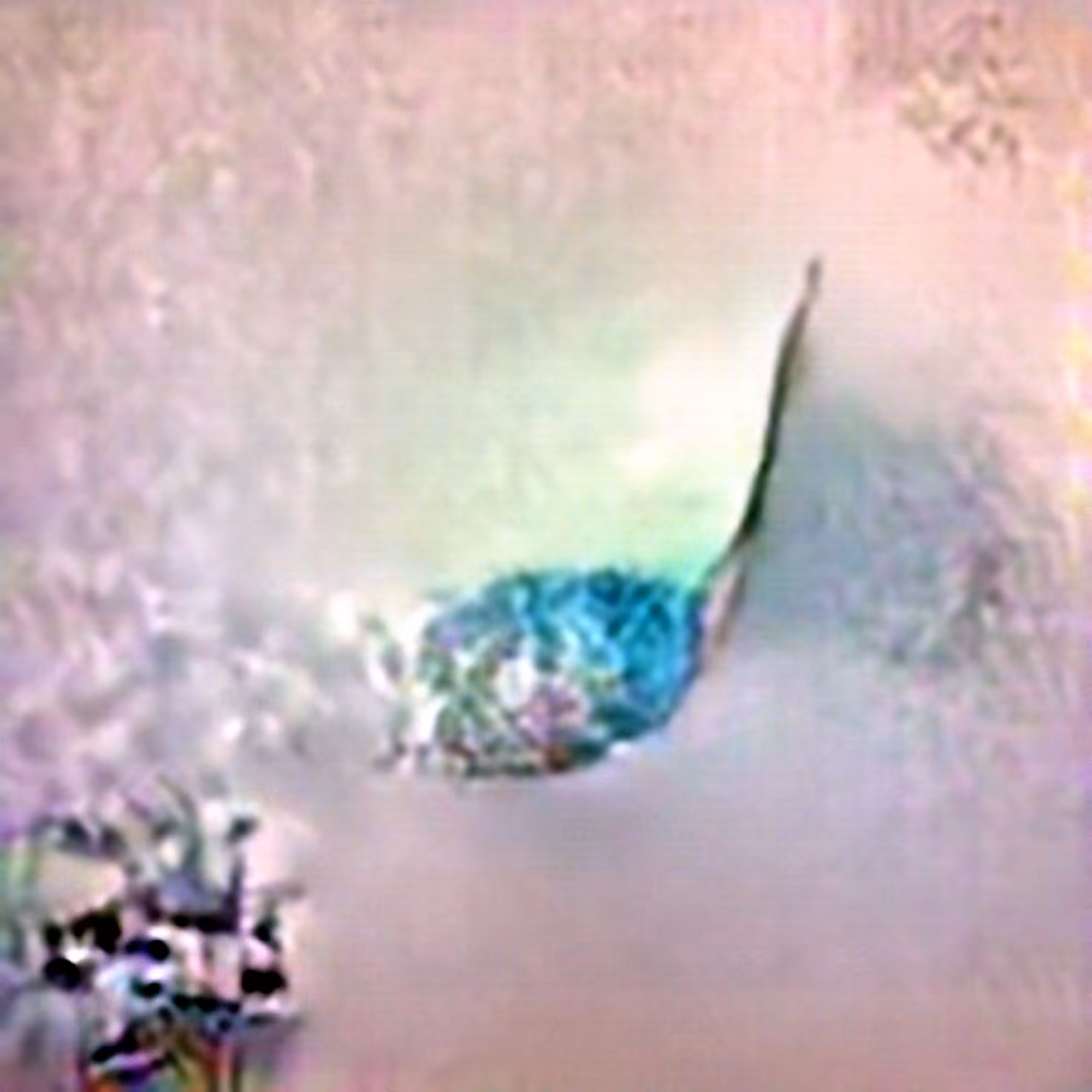 Amoeba #2 (Corpus: From the Depths)