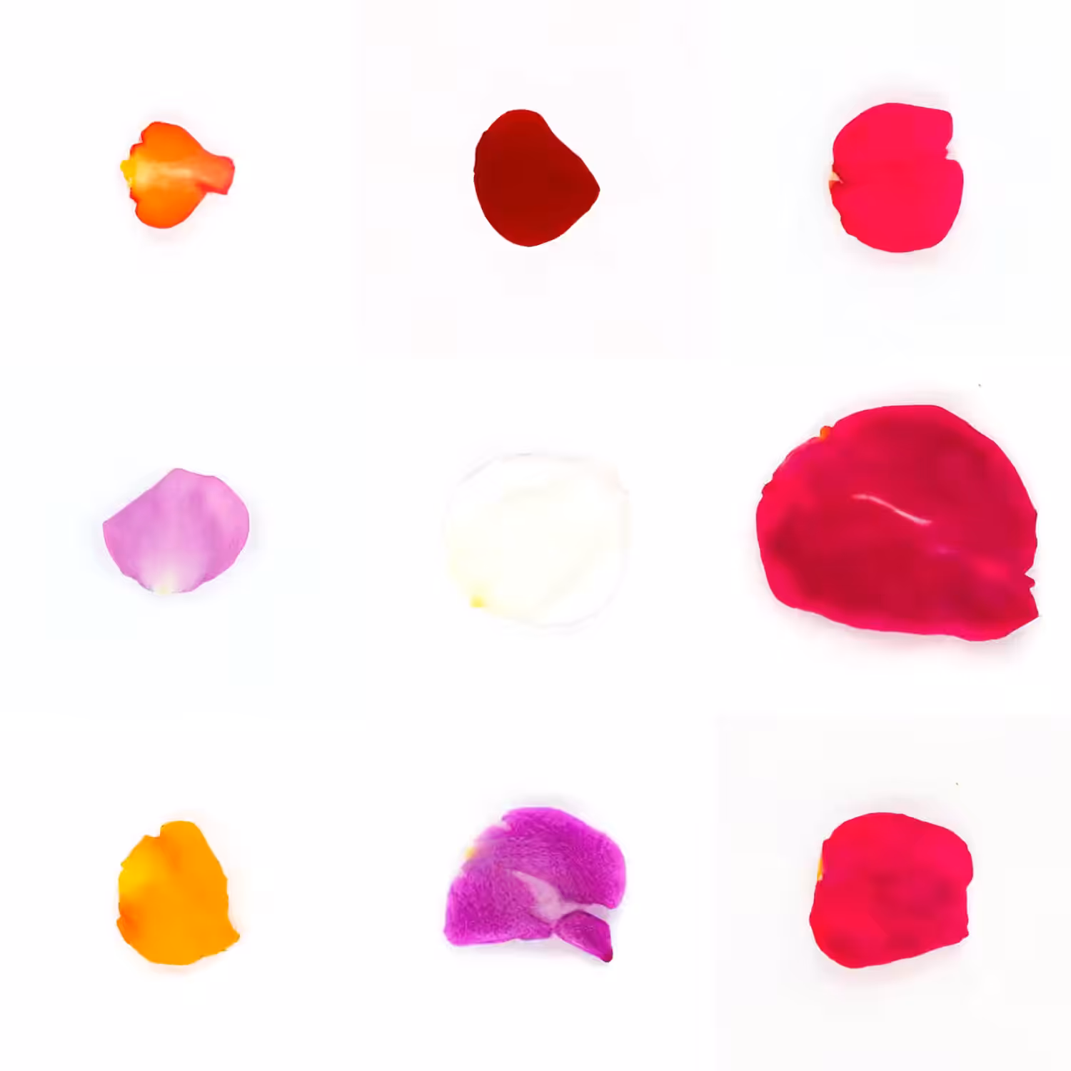 Infinite Petals 3x3#2731