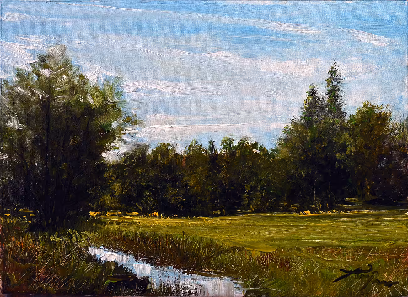 Sun in the forest