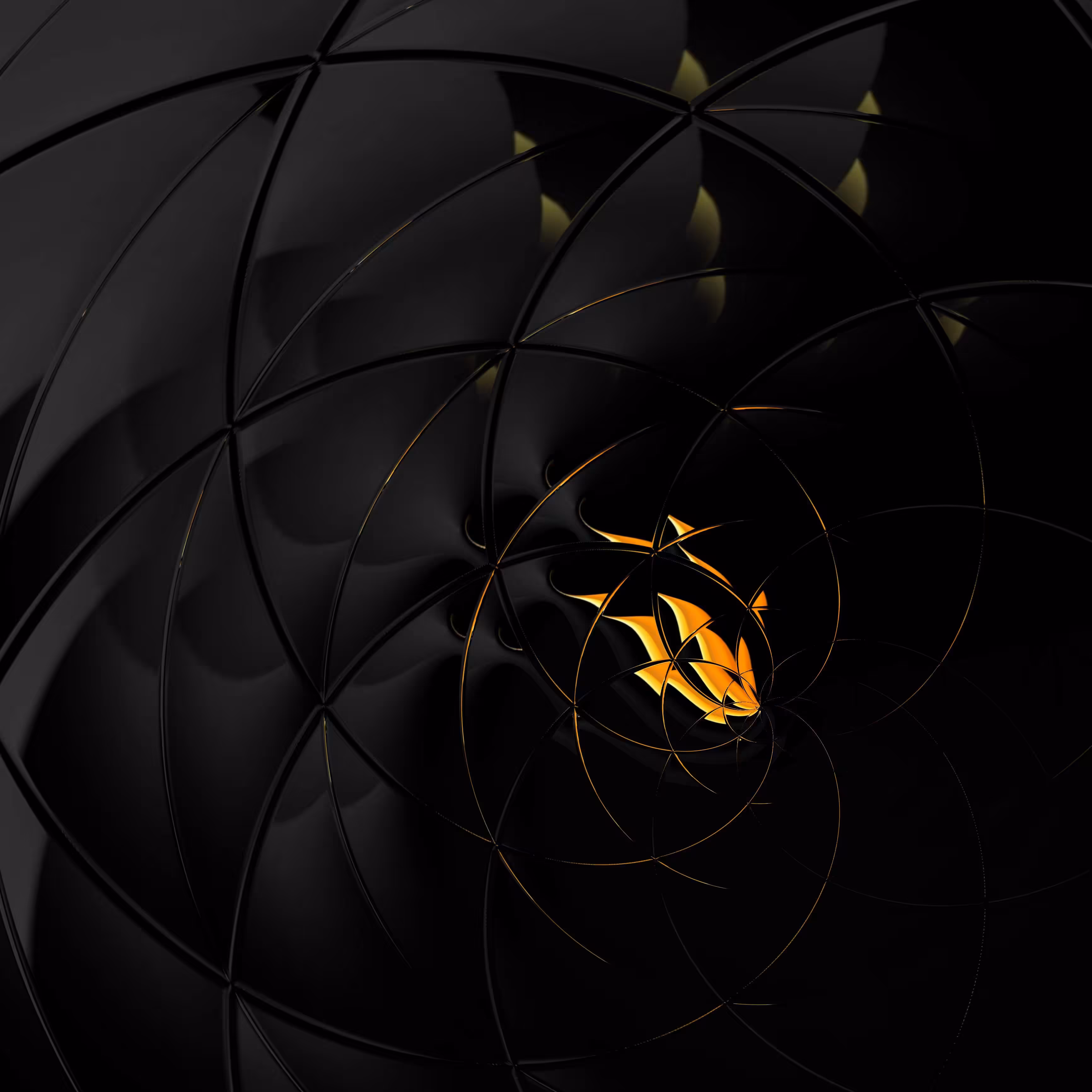Black & Gold