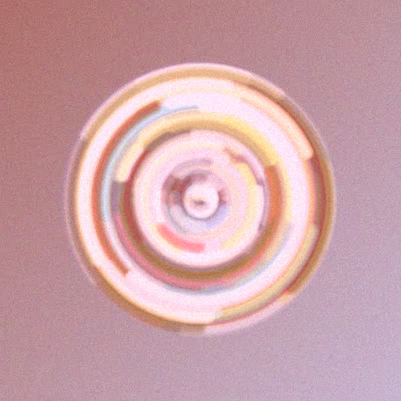 Wisp #229