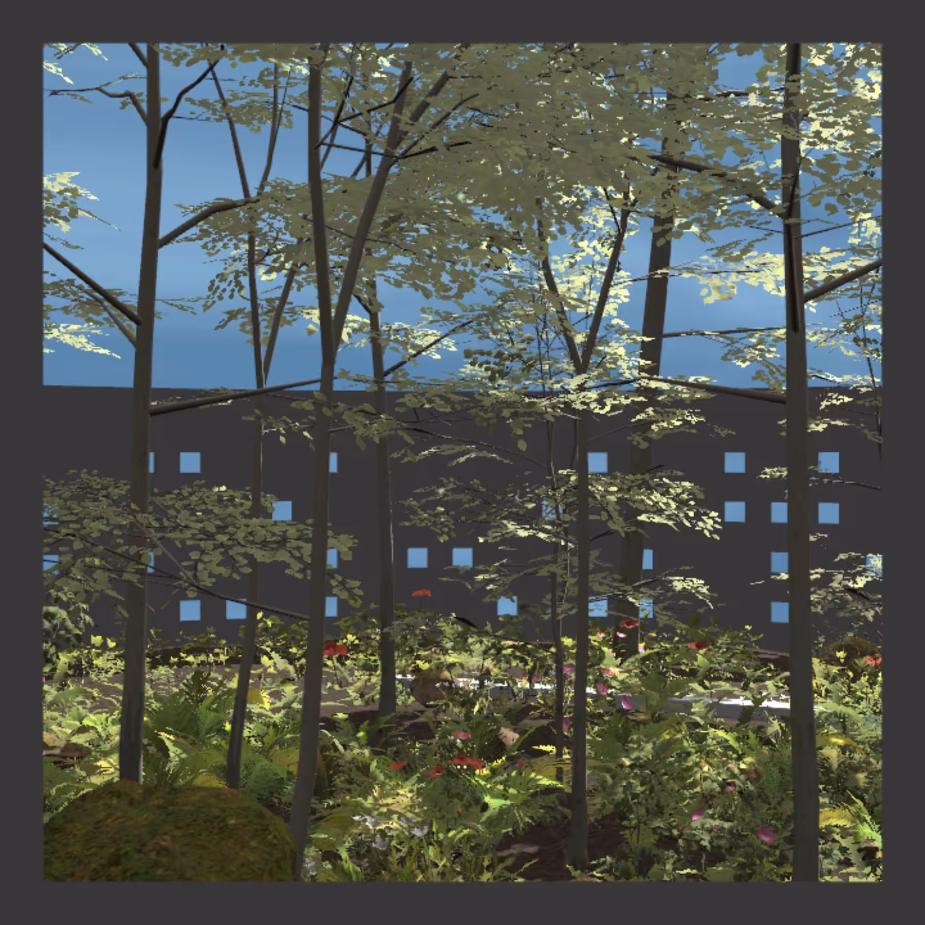 View