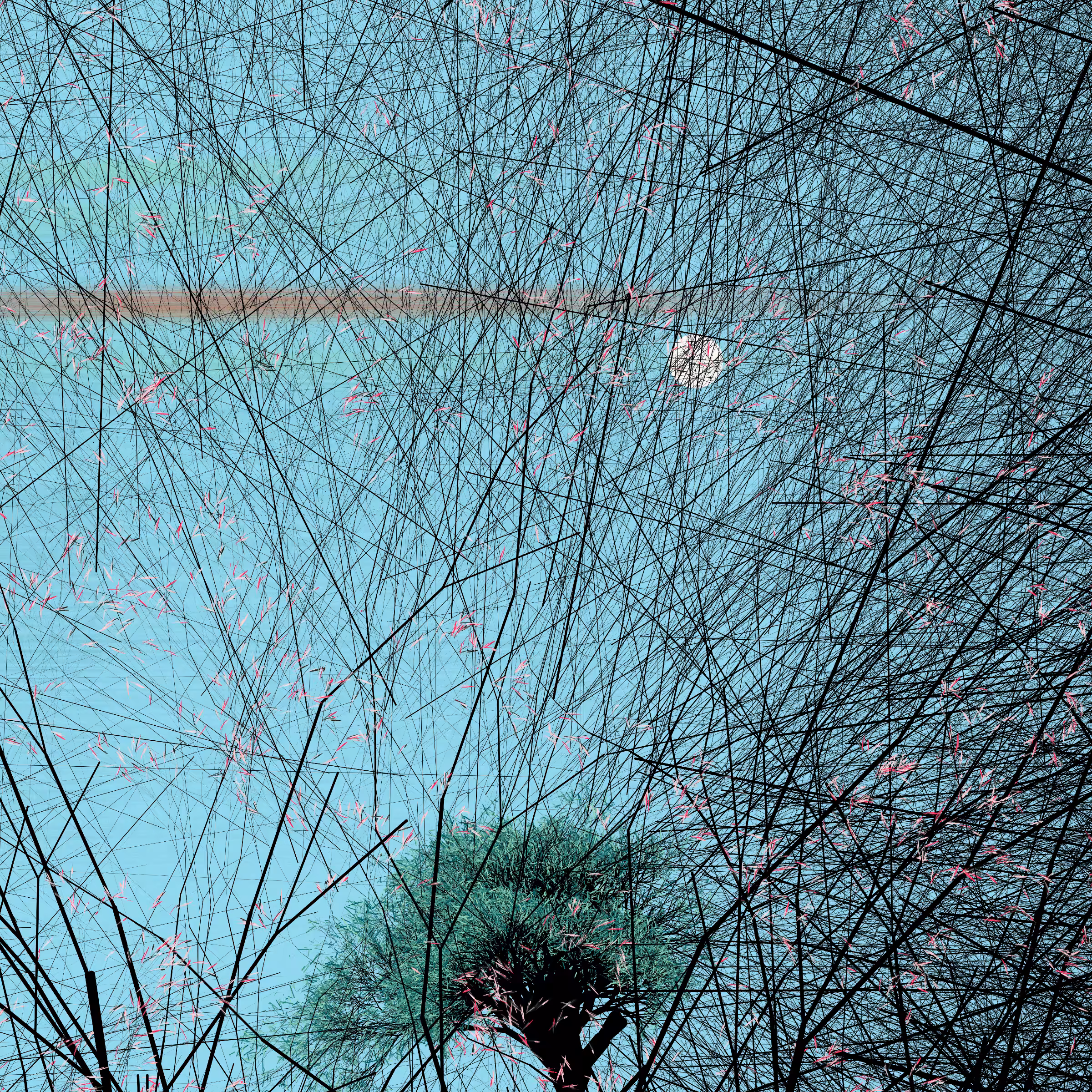 conversation with the wind #575