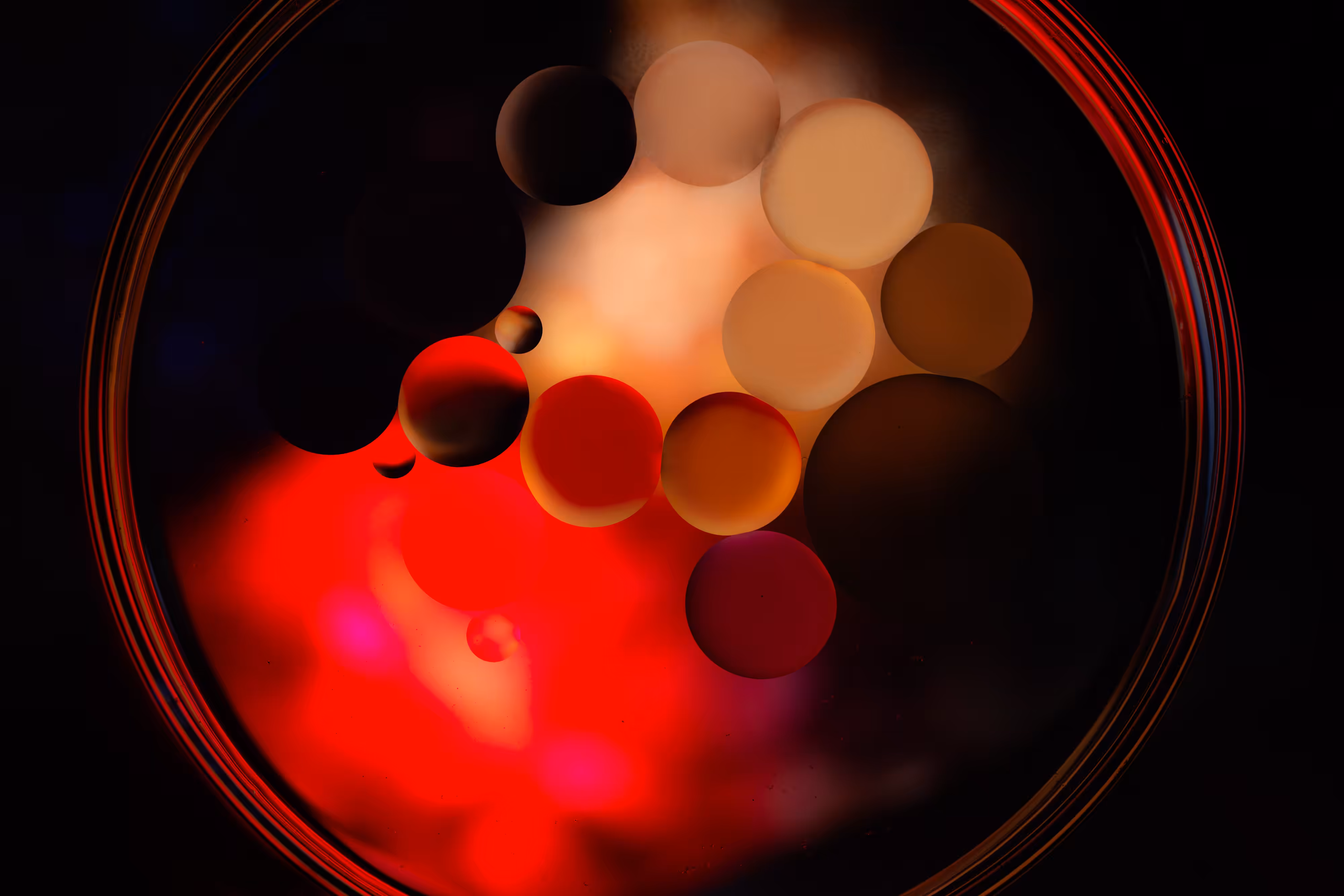 Petri Oil 1