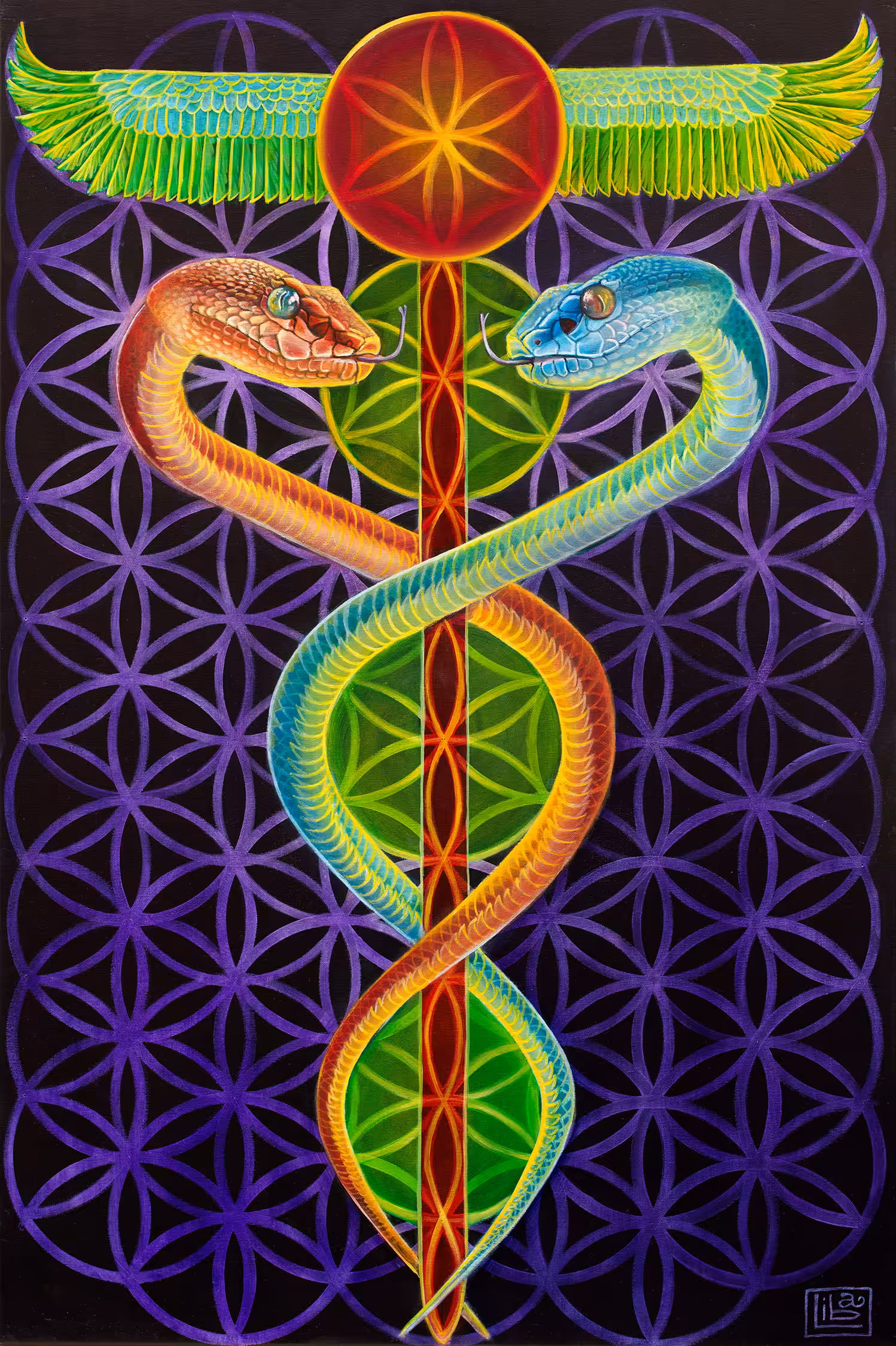 Caduceus