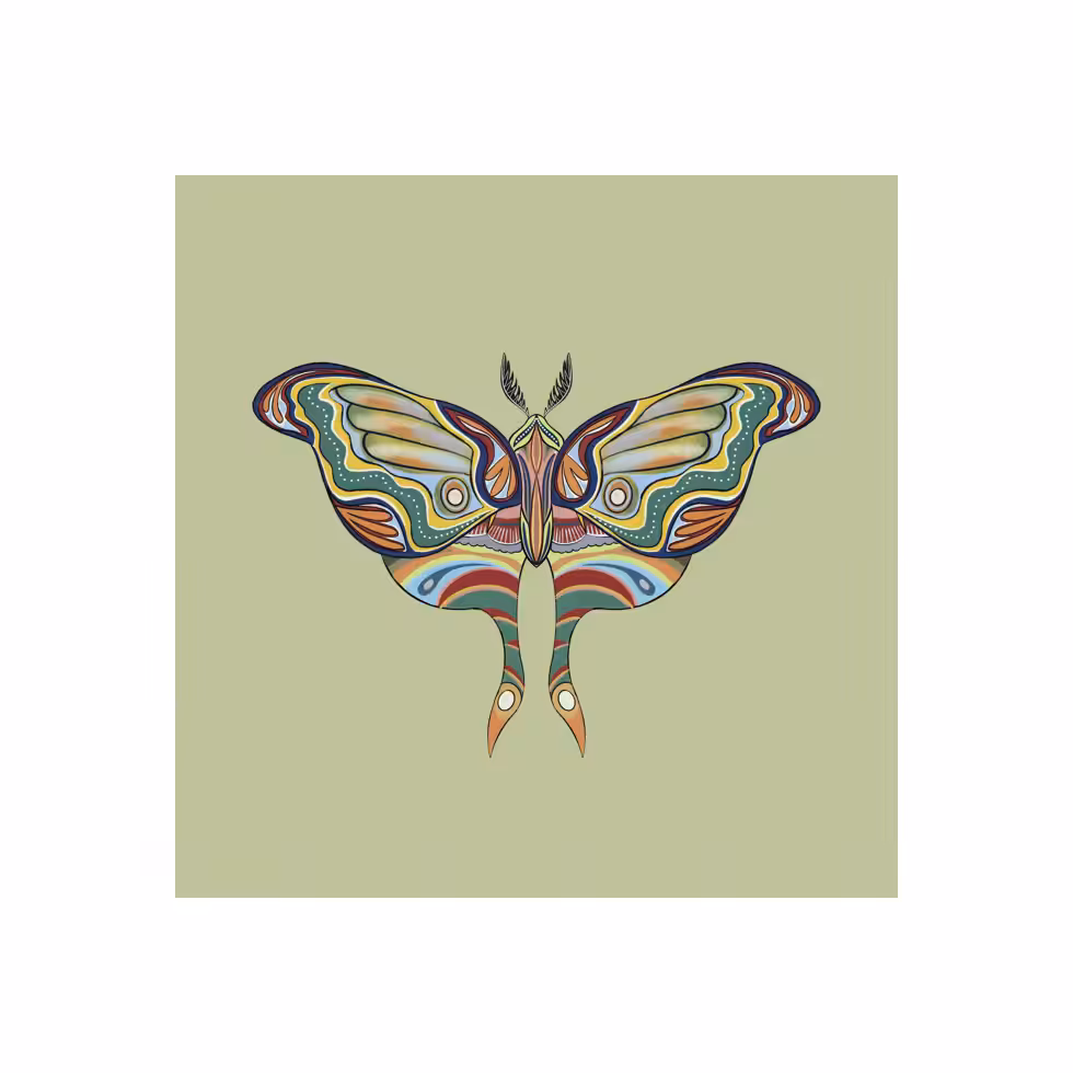 The Moth Experiment #6