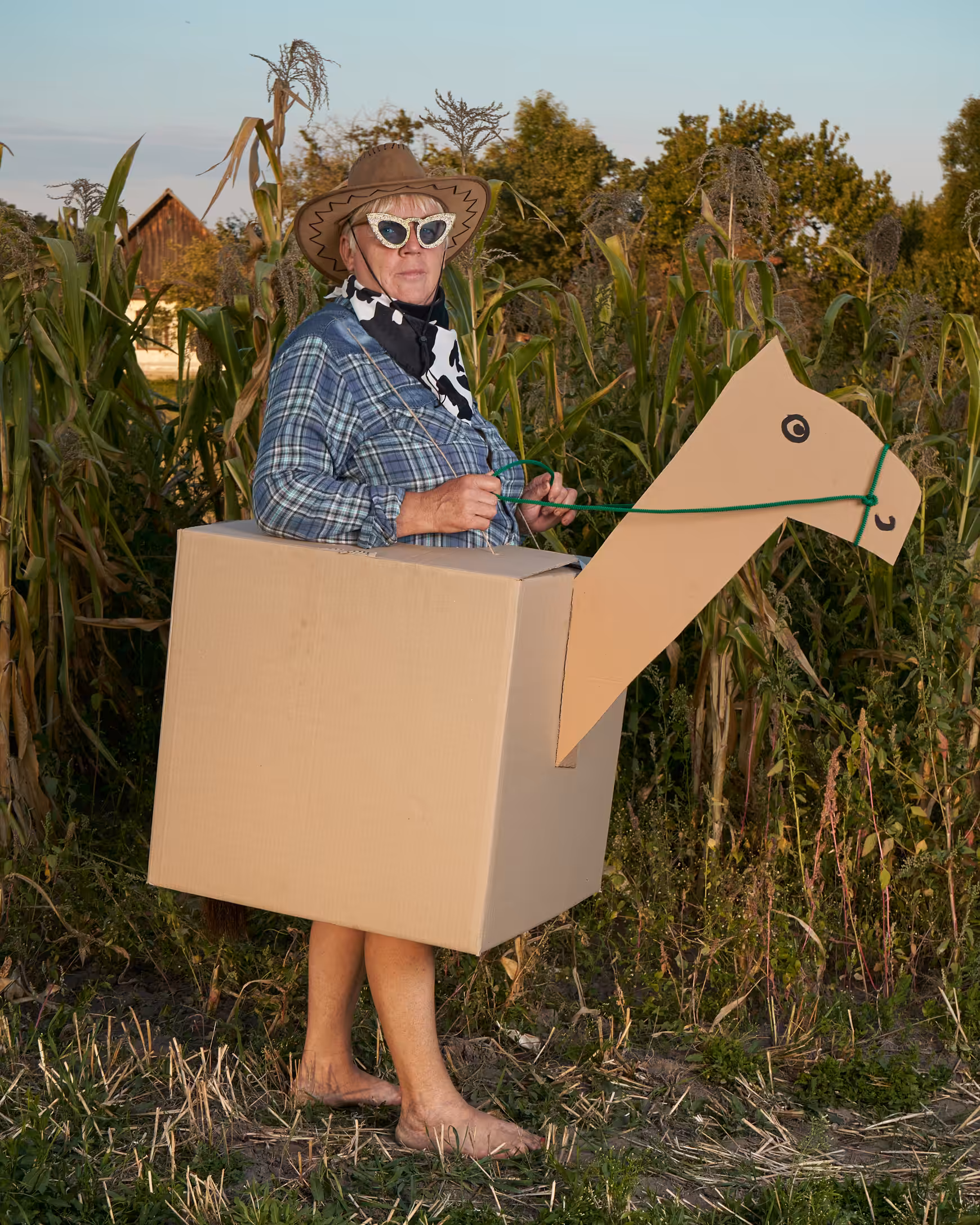 Lonely Cowboy in search of Camomile