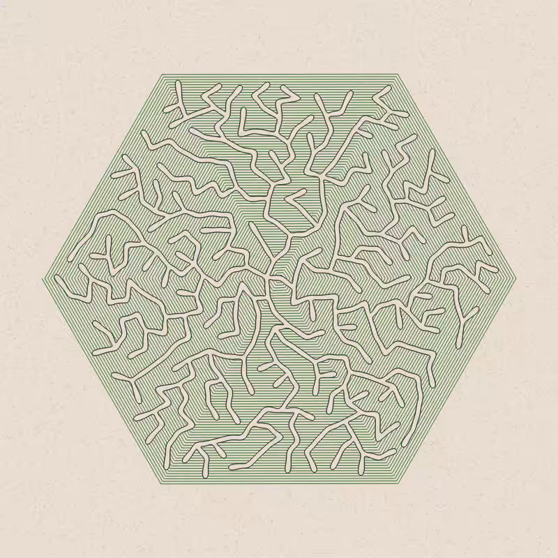 Burrow #10