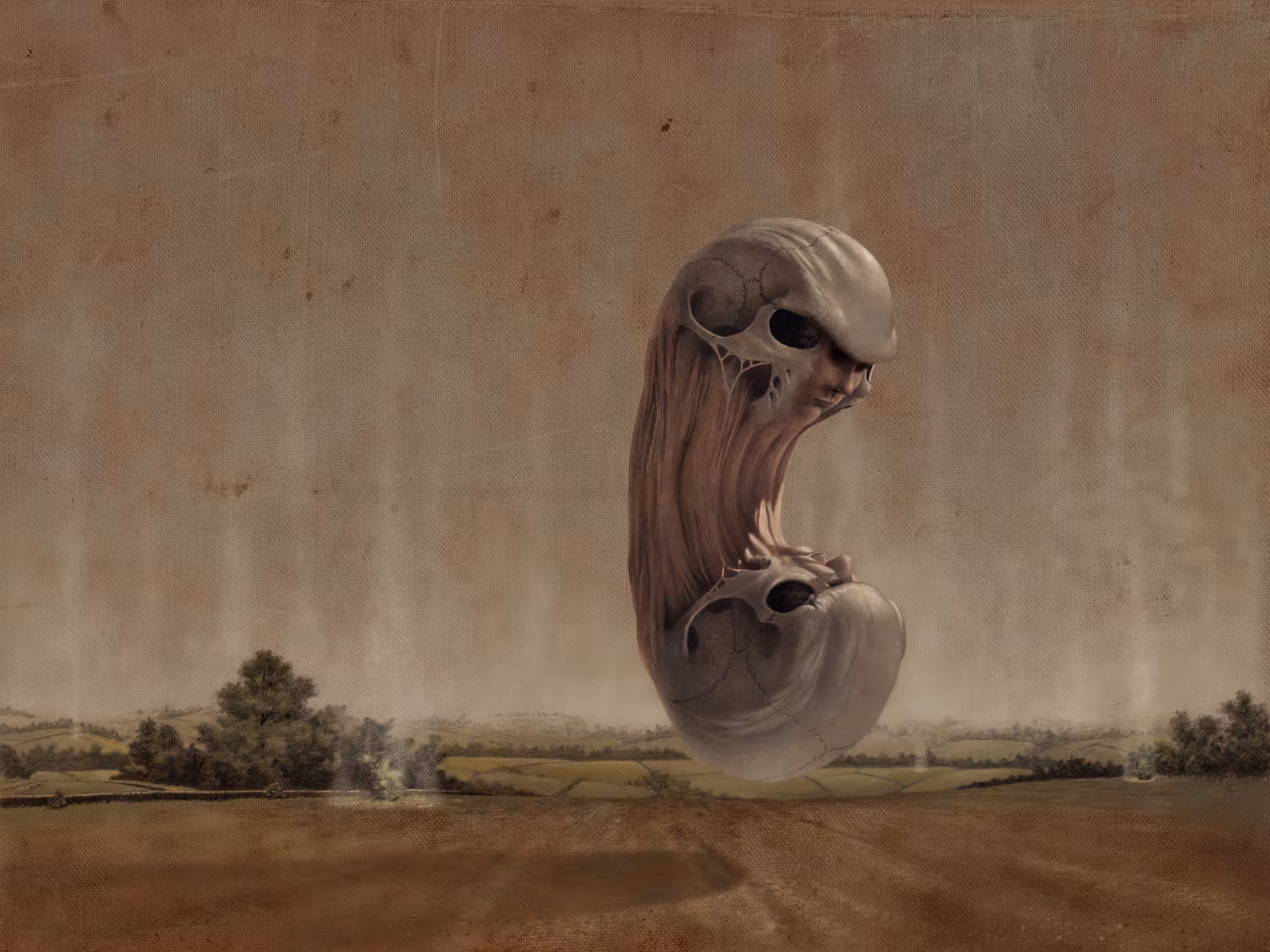 Janus II